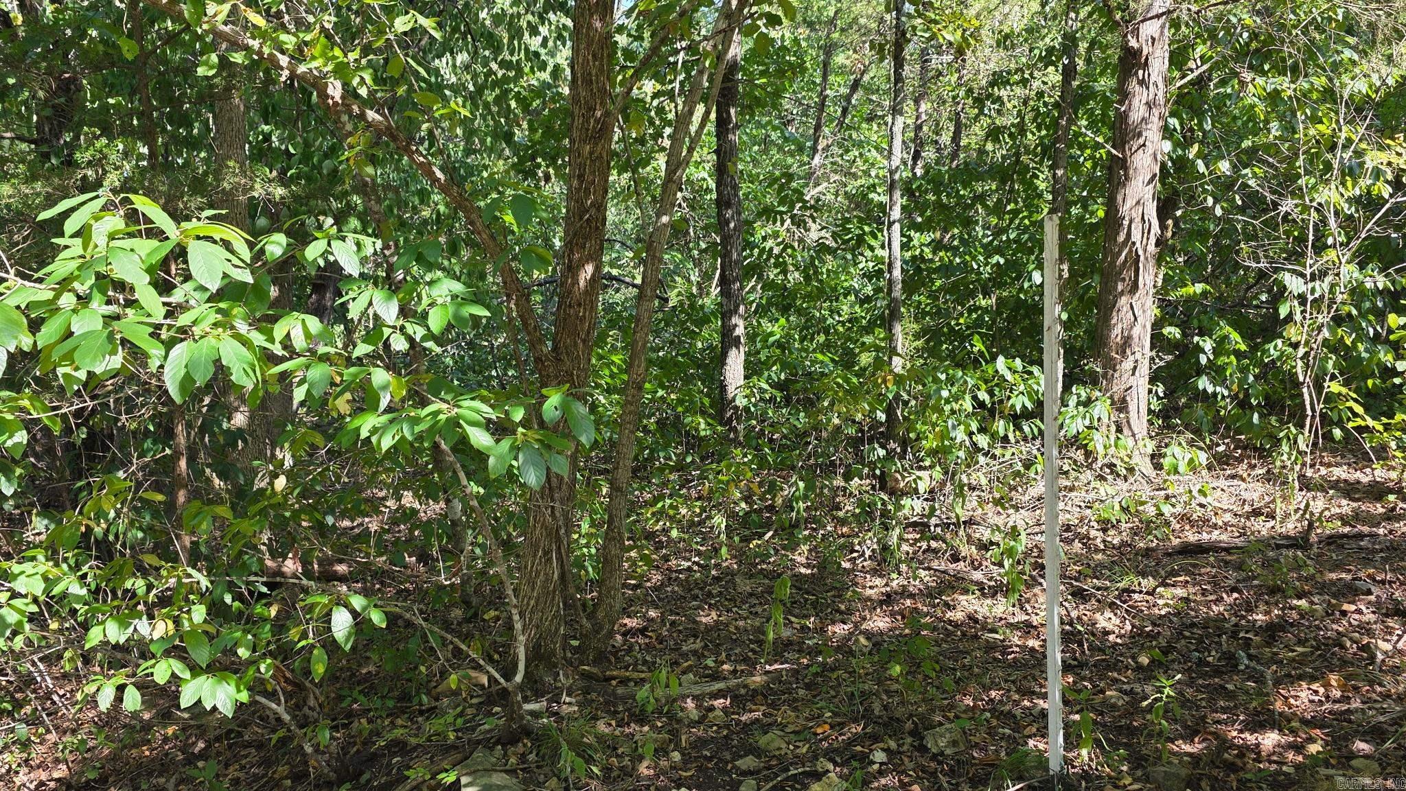 Lot 30 Mallard Drive Property Photo 5