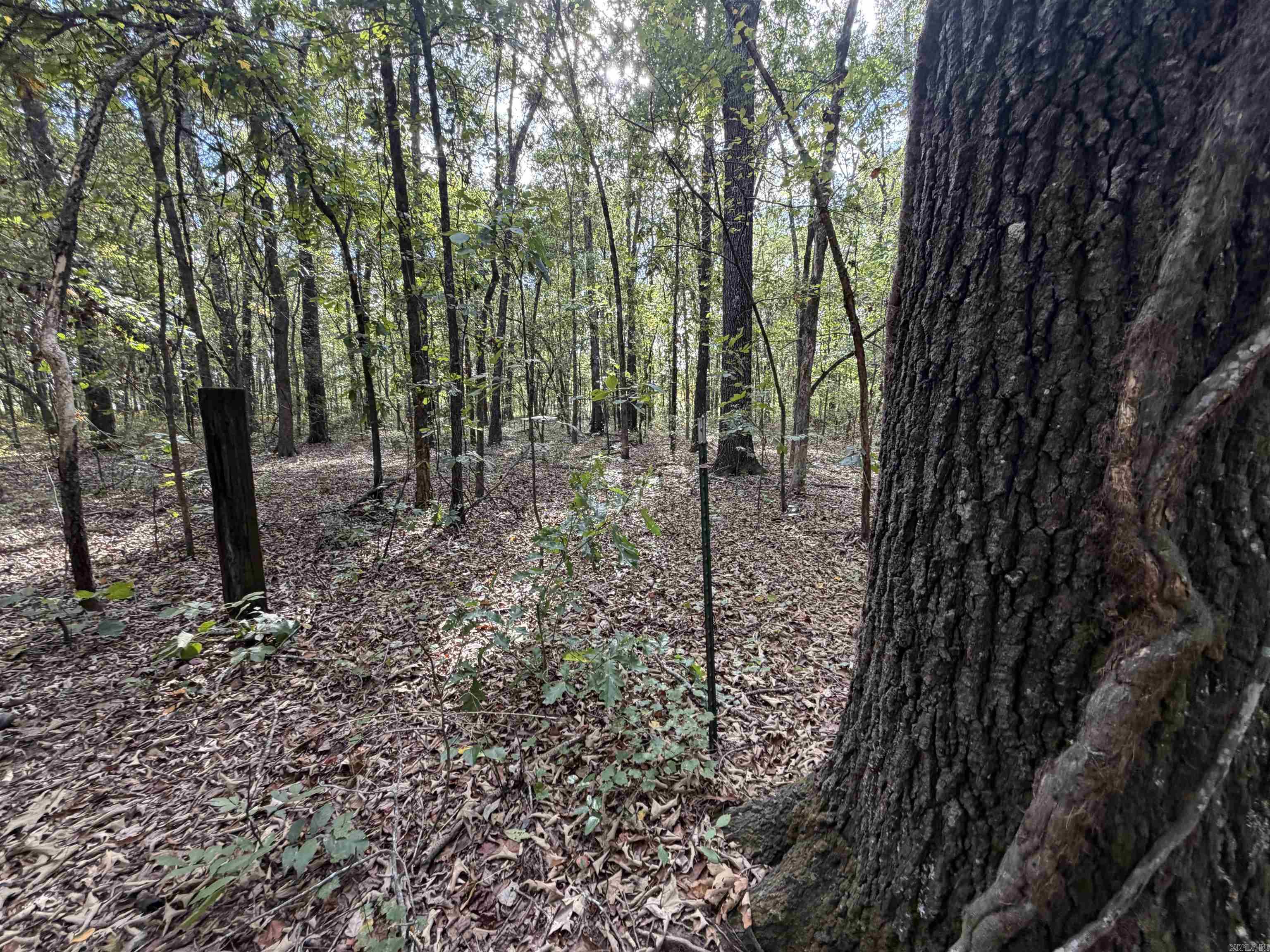 16541 Highway 31 N Highway Property Photo 23