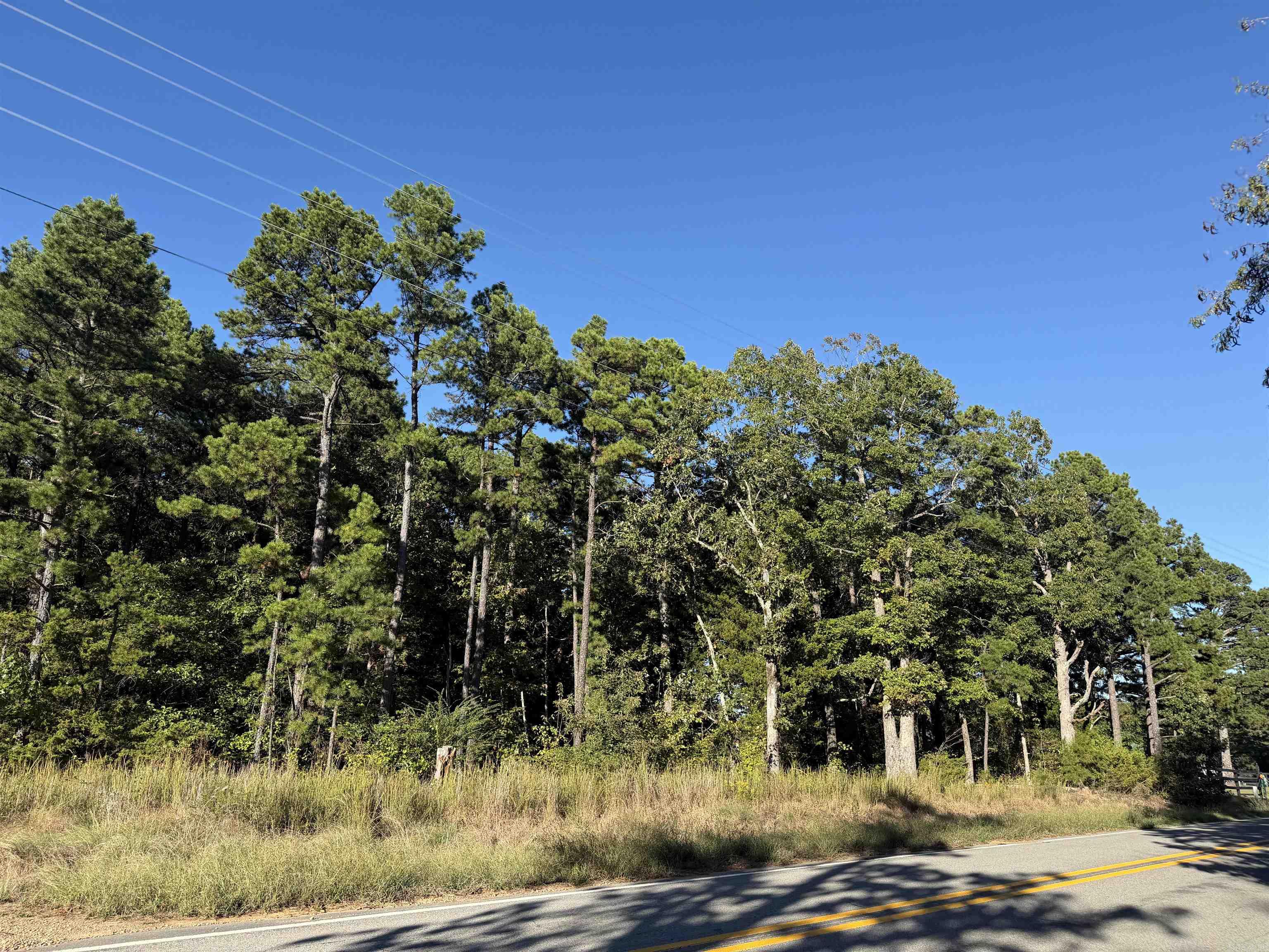 8393 Hwy 254 East Property Photo 1