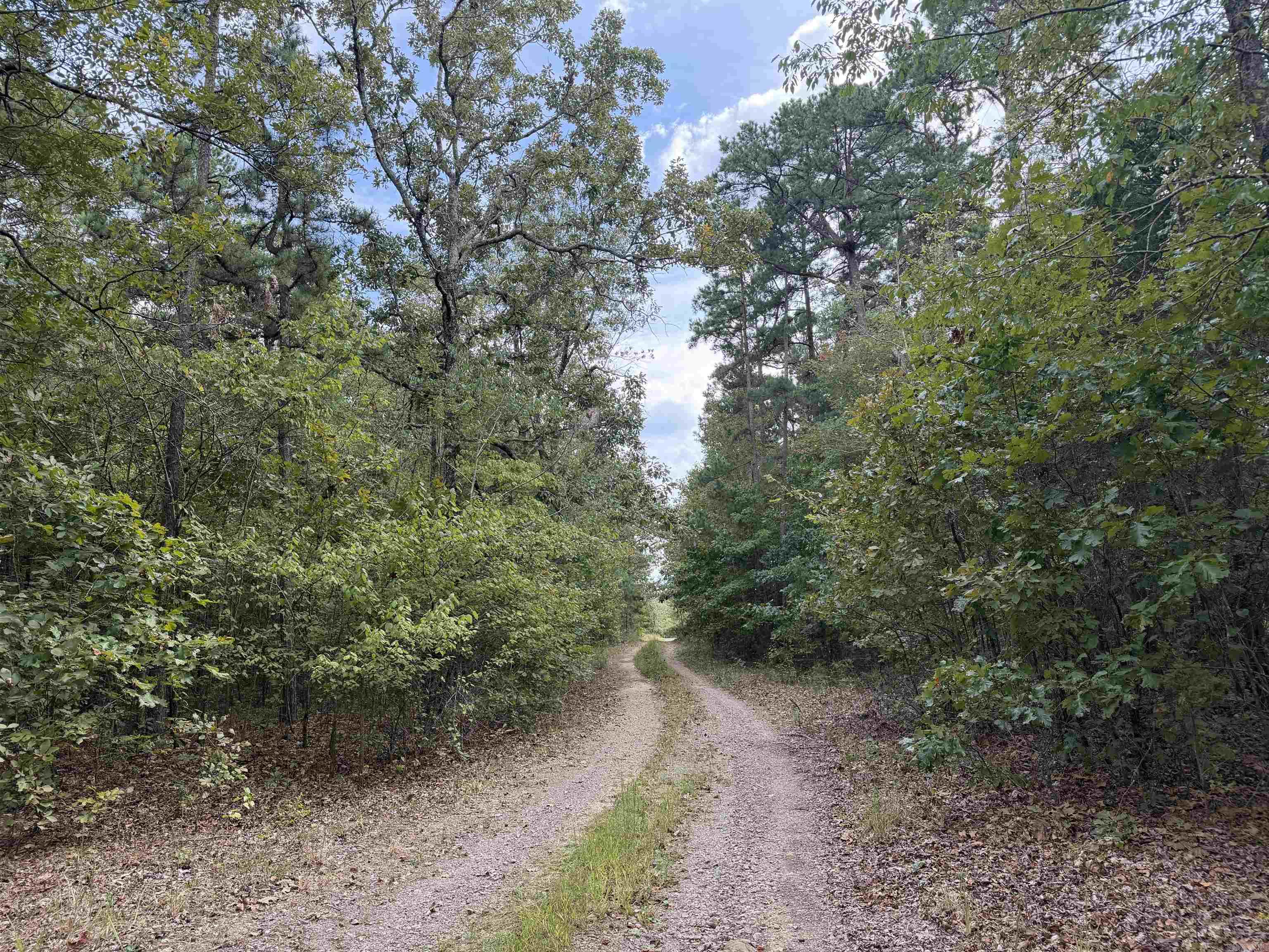 8393 Hwy 254 East Property Photo 3