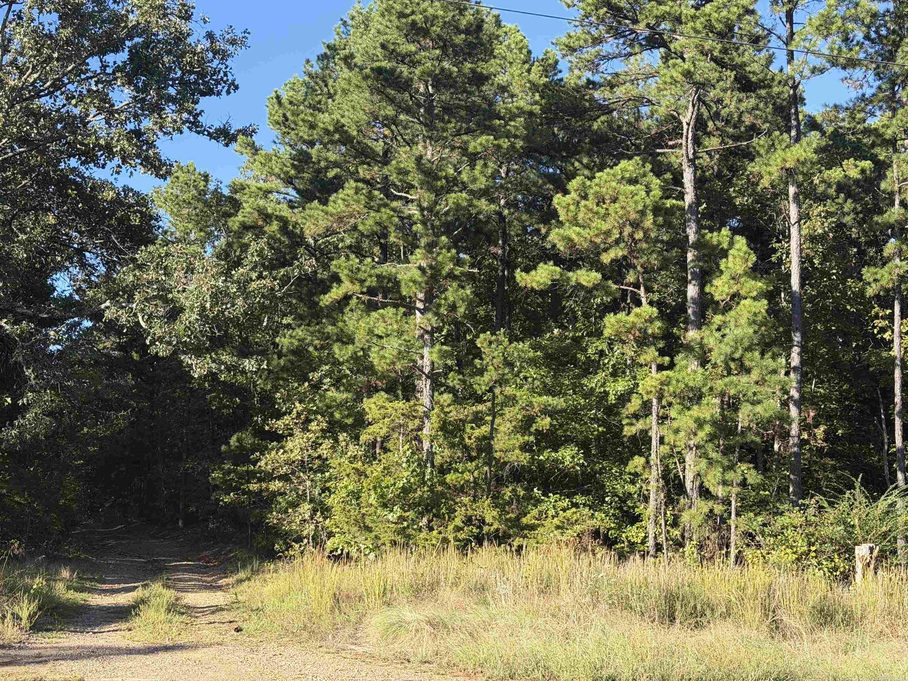 8393 Hwy 254 East Property Photo 4