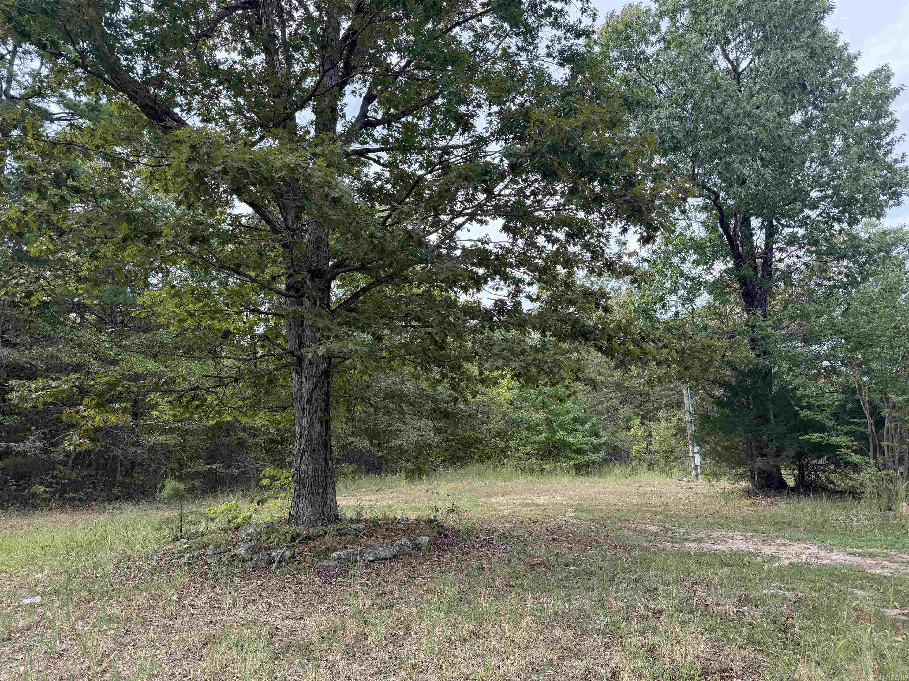 8393 Hwy 254 East Property Photo 5