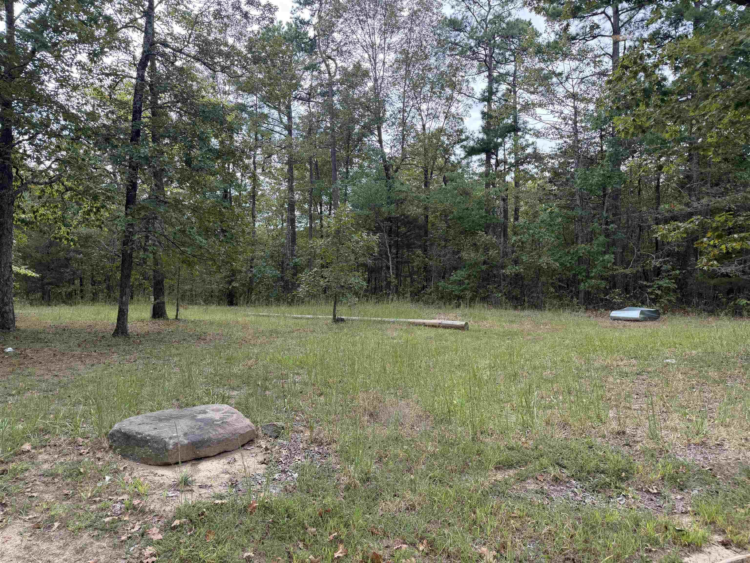 8393 Hwy 254 East Property Photo 6