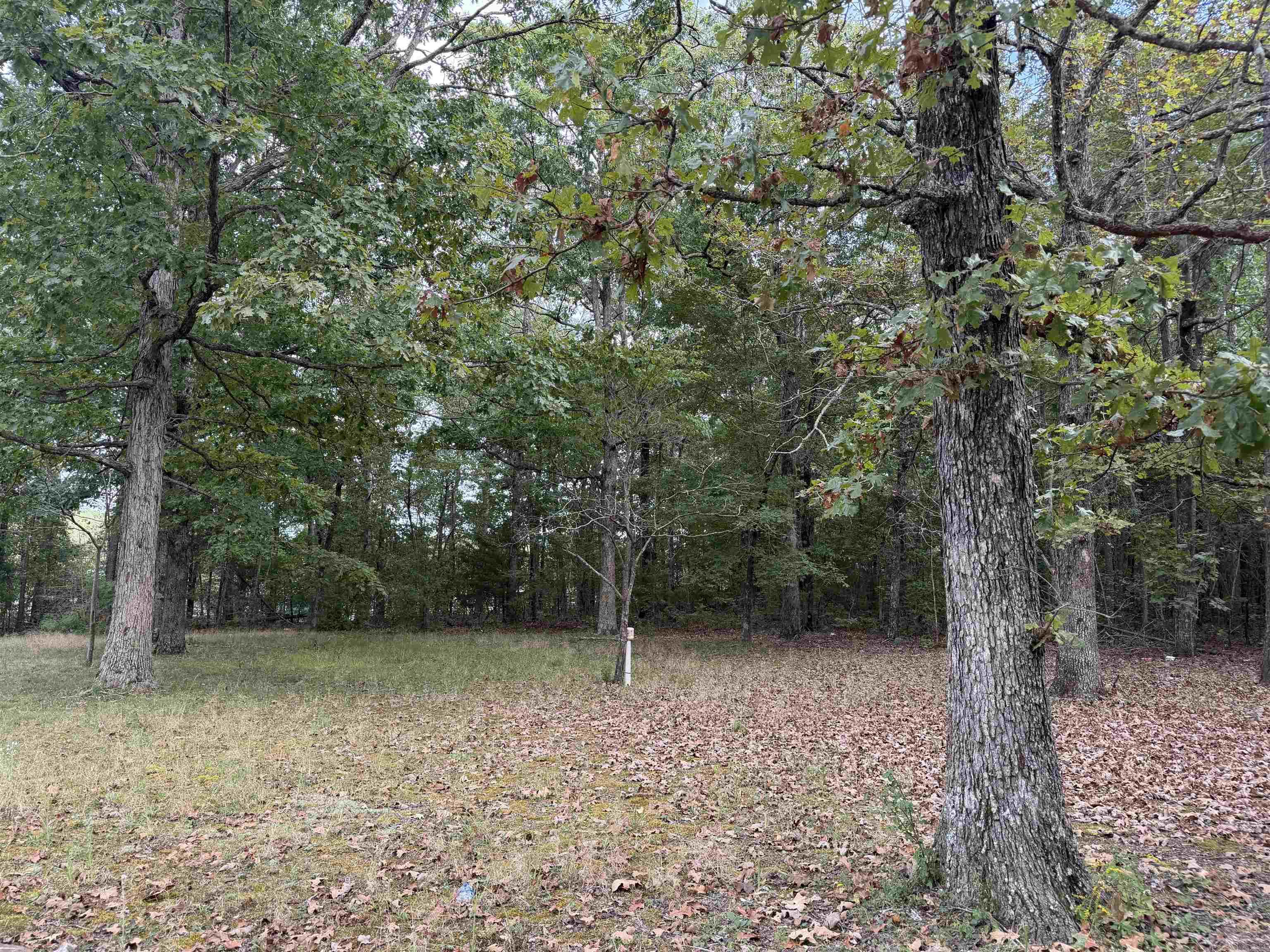 8393 Hwy 254 East Property Photo 7