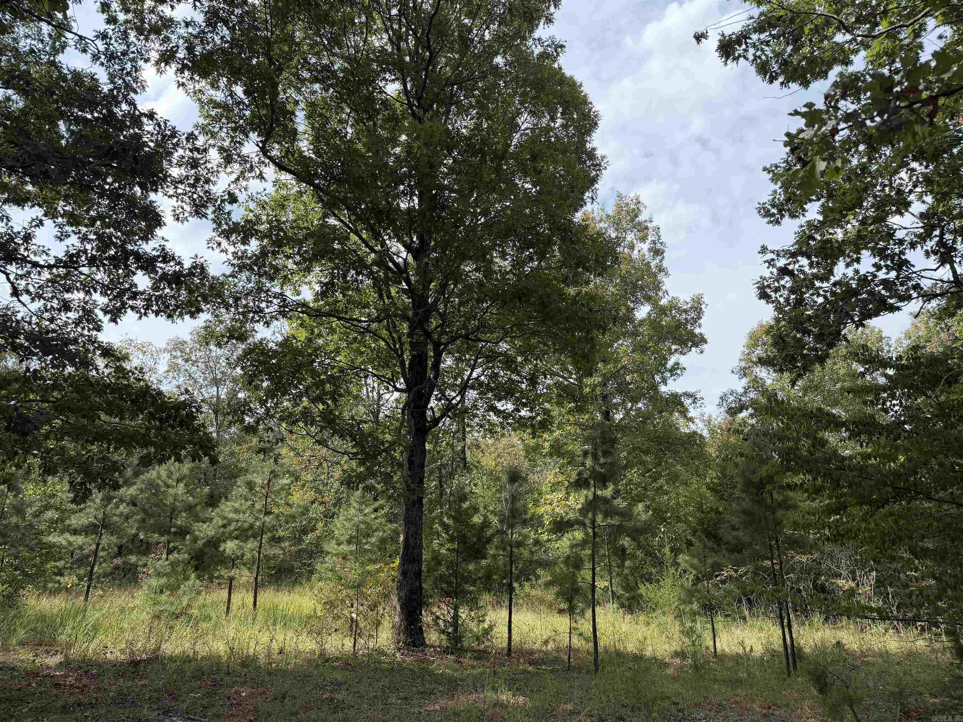 8393 Hwy 254 East Property Photo 8
