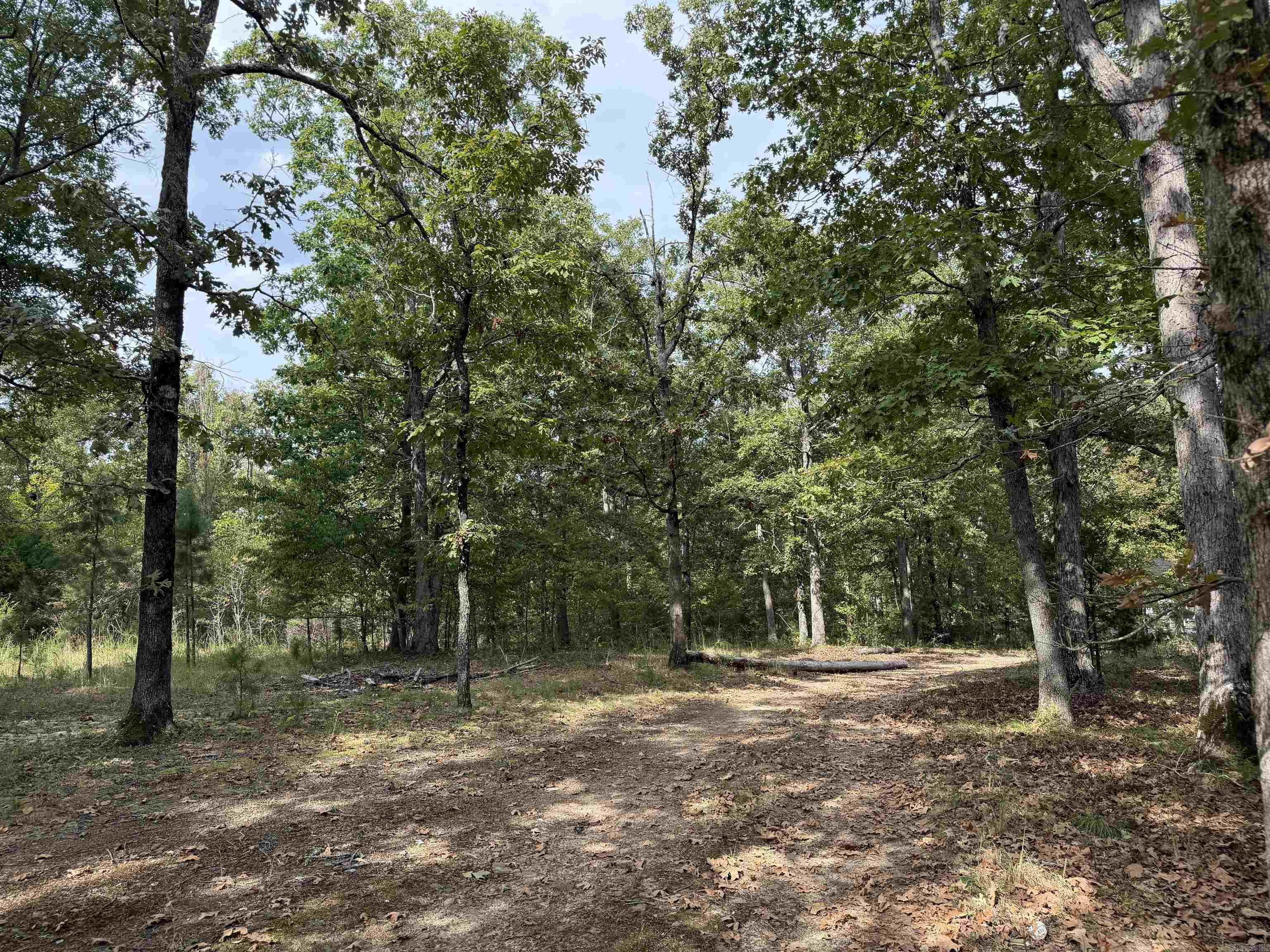 8393 Hwy 254 East Property Photo 9