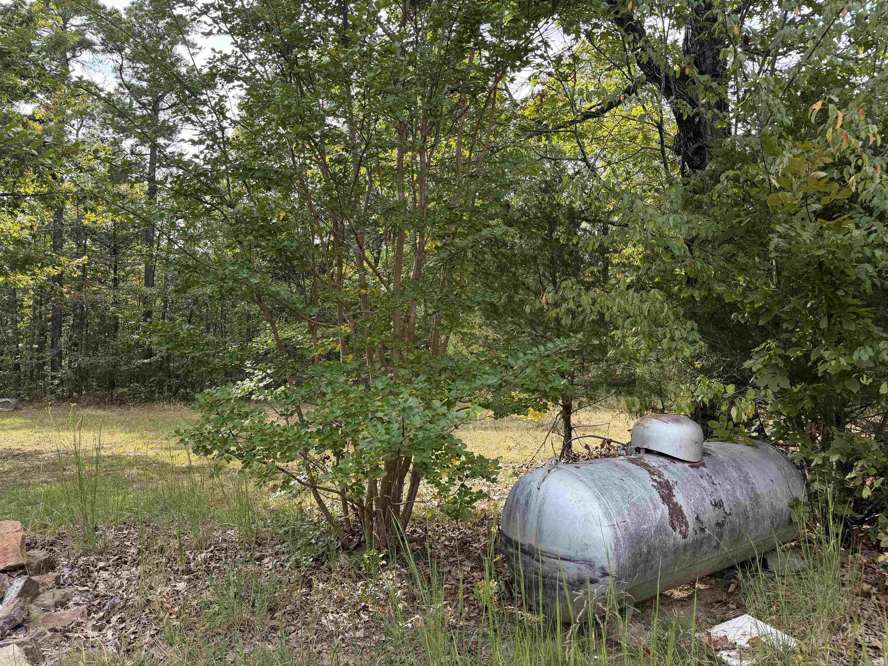 8393 Hwy 254 East Property Photo 10