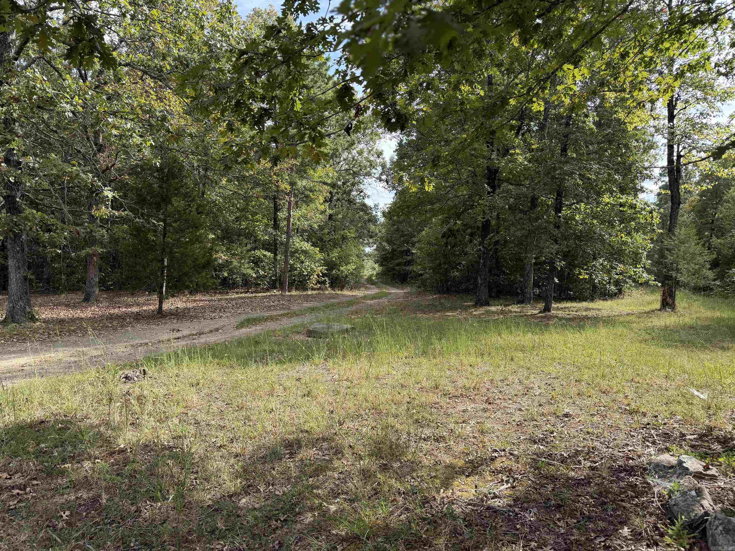 8393 Hwy 254 East Property Photo 11