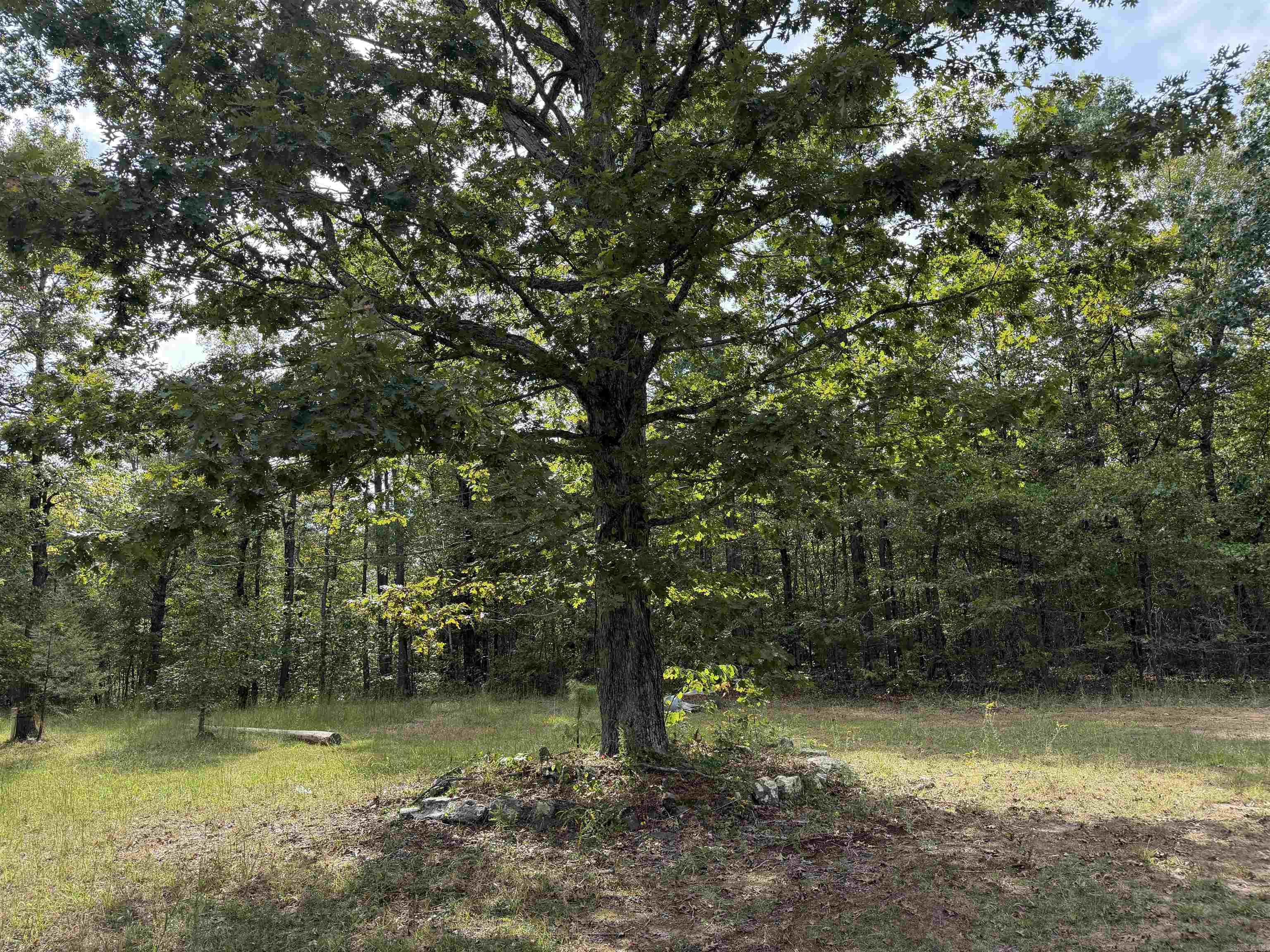 8393 Hwy 254 East Property Photo 12
