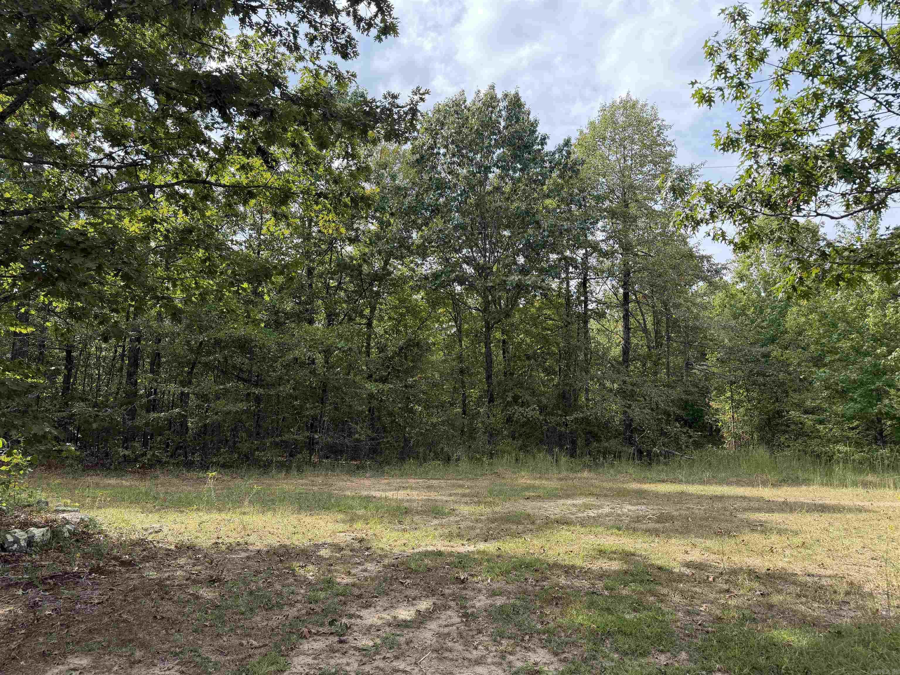 8393 Hwy 254 East Property Photo 13