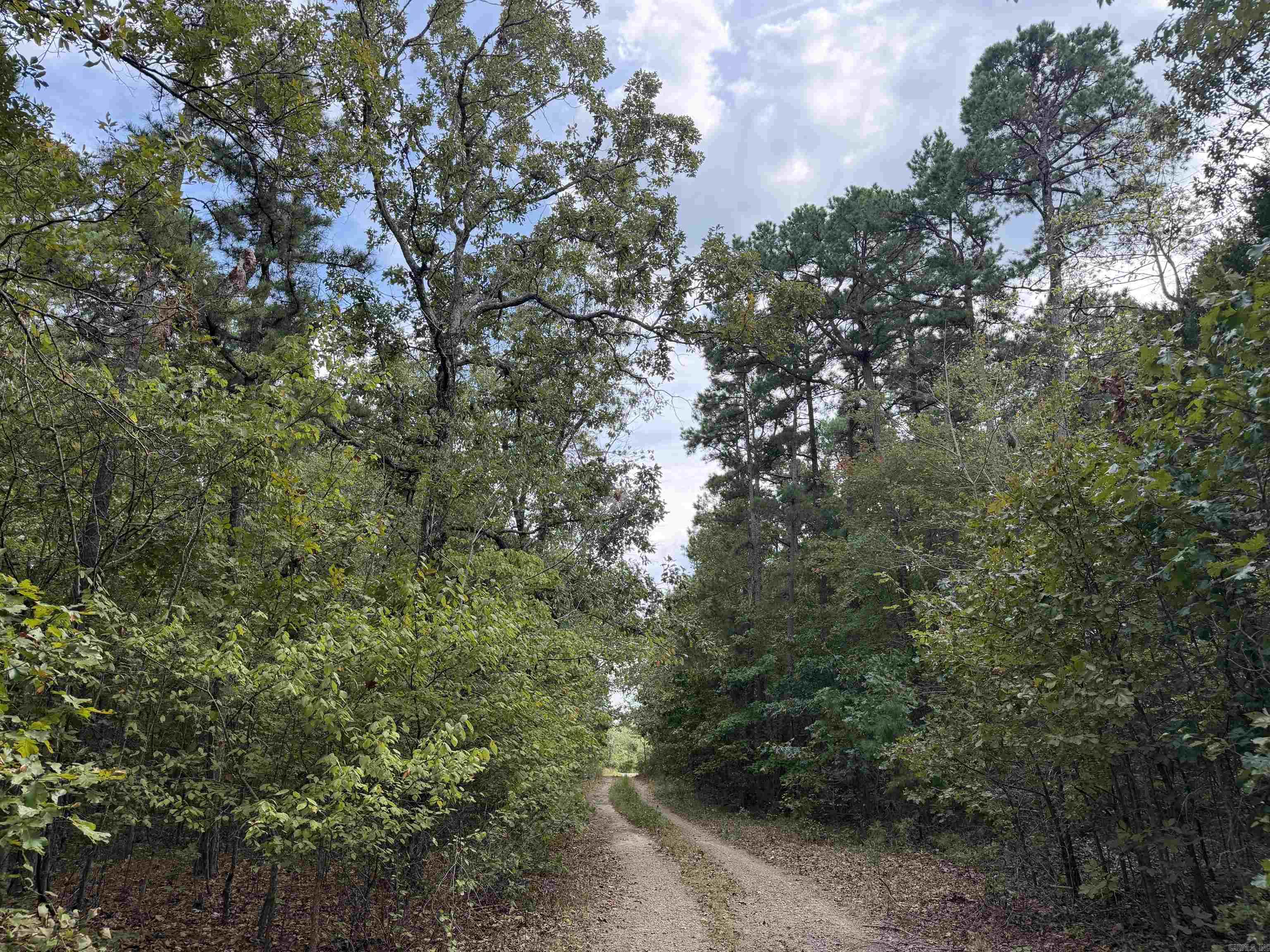 8393 Hwy 254 East Property Photo 14