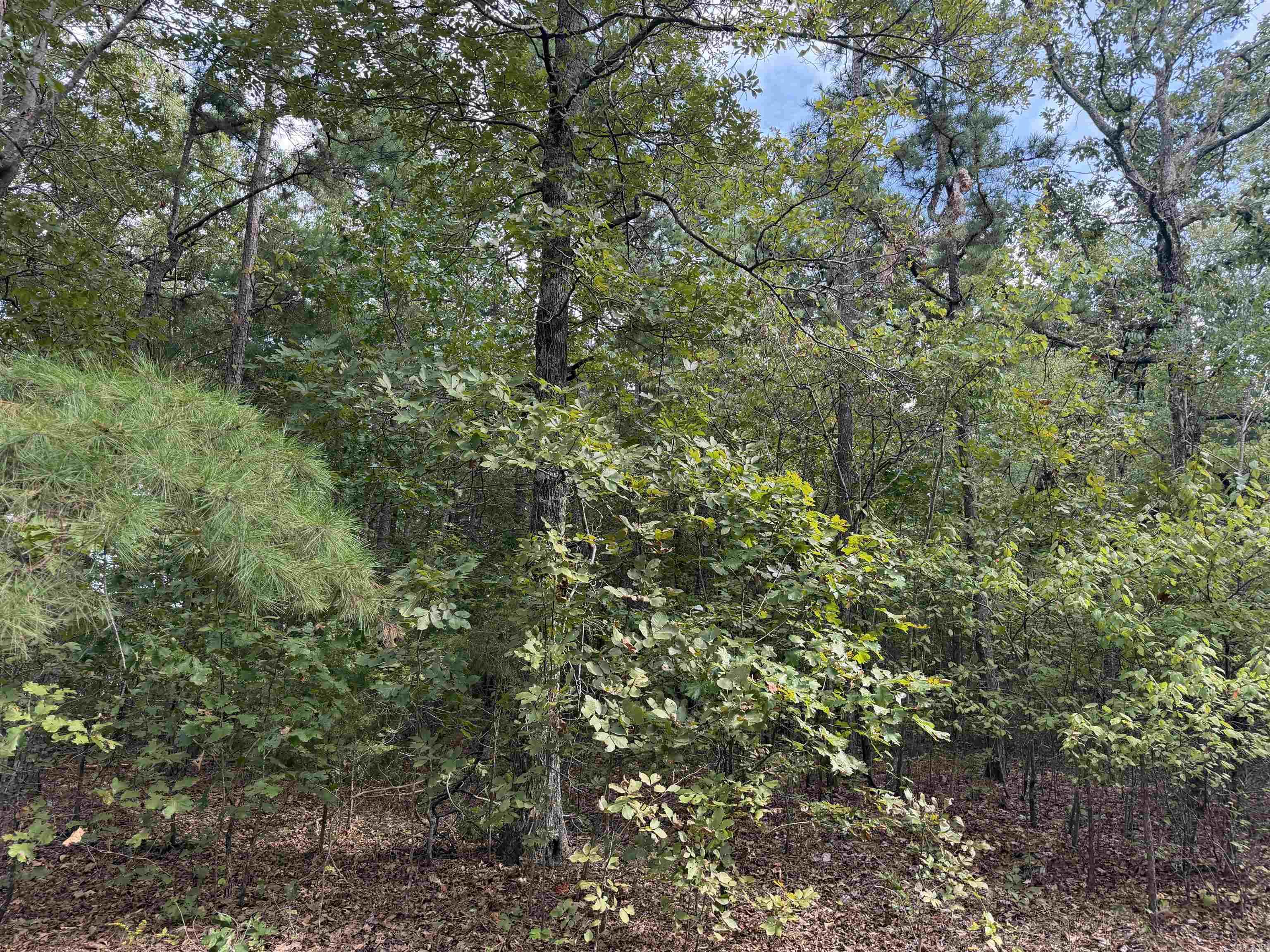 8393 Hwy 254 East Property Photo 15