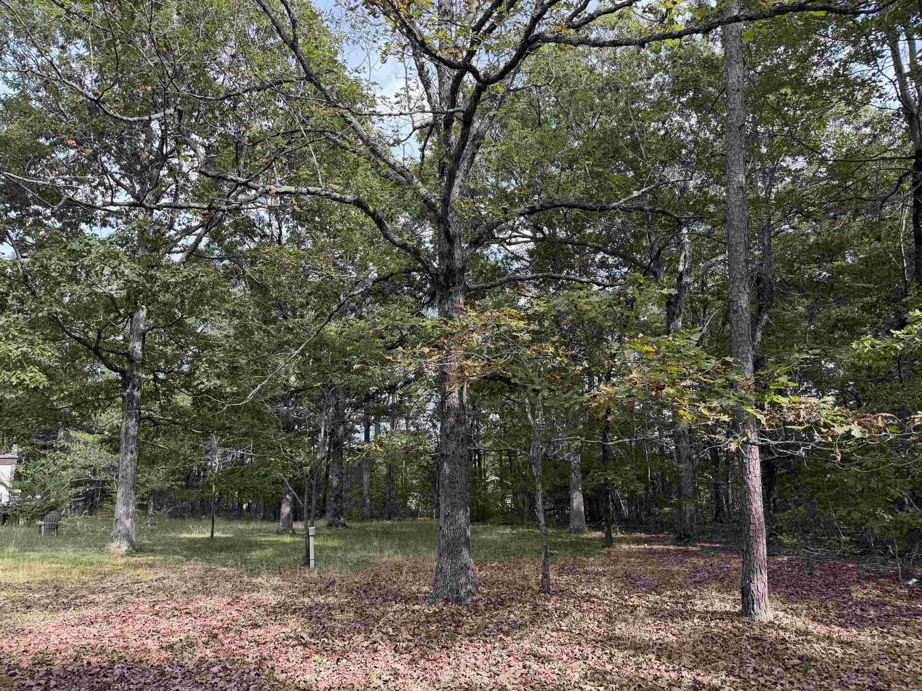 8393 Hwy 254 East Property Photo 16