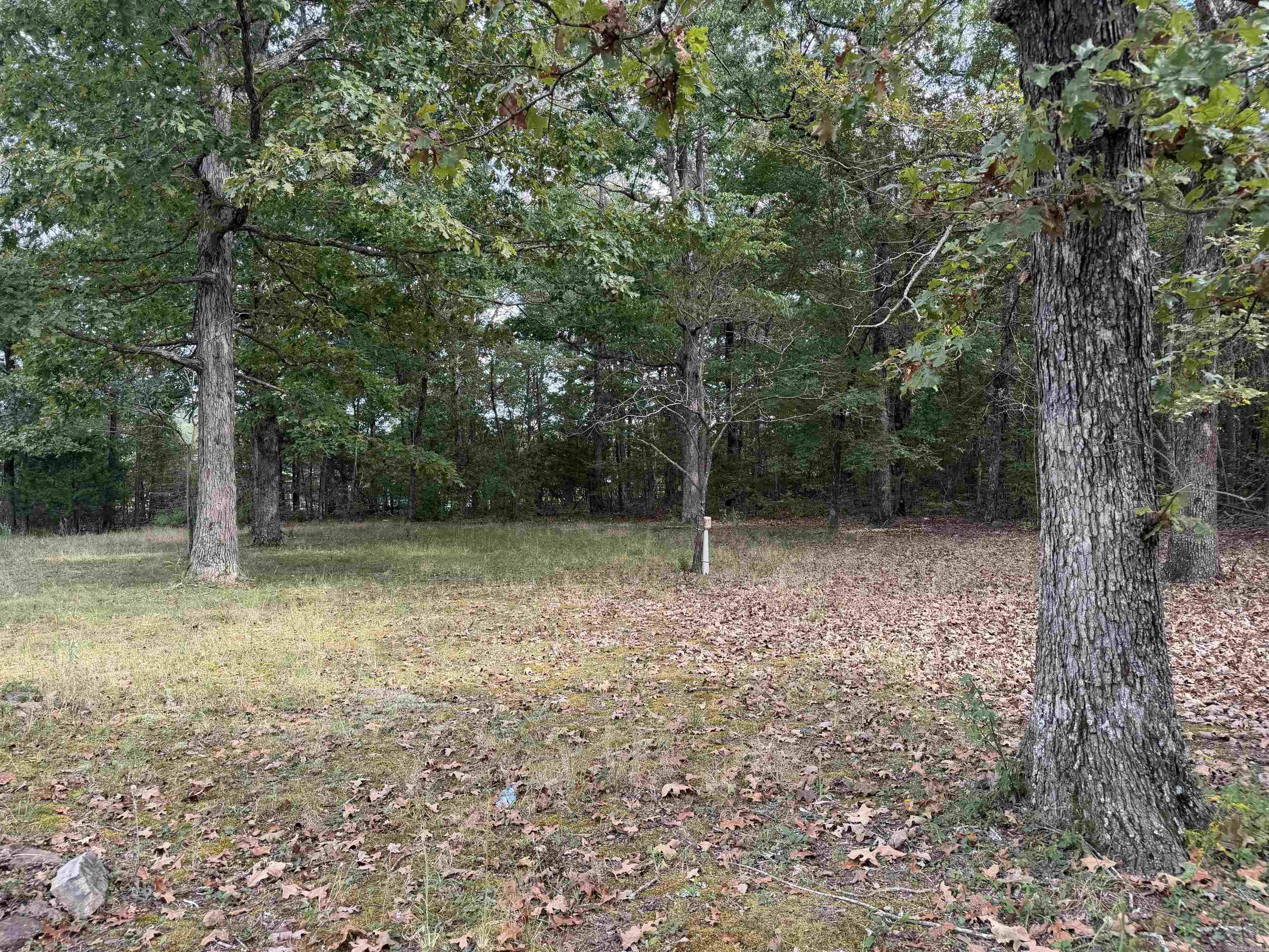 8393 Hwy 254 East Property Photo 18