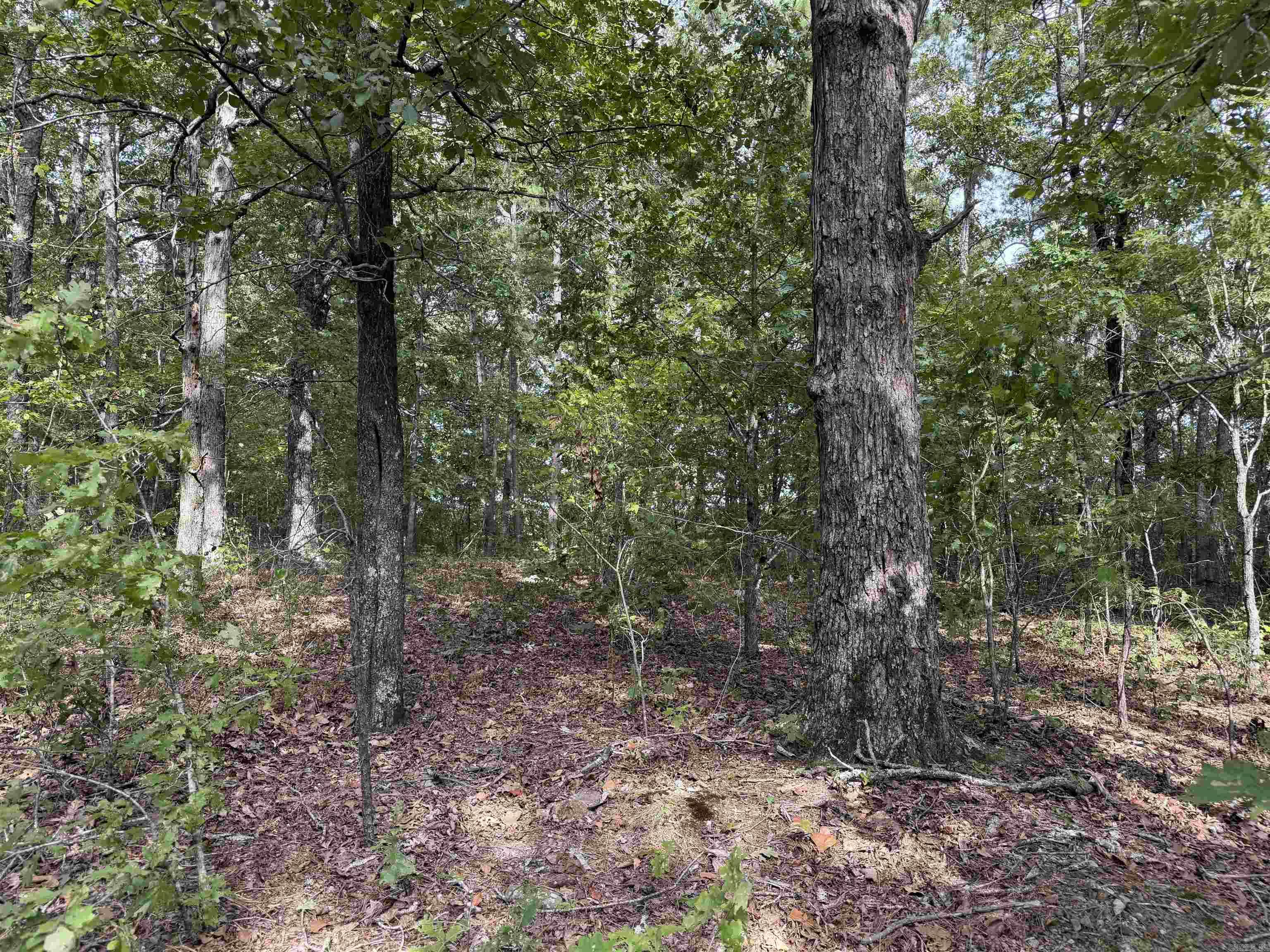 8393 Hwy 254 East Property Photo 19