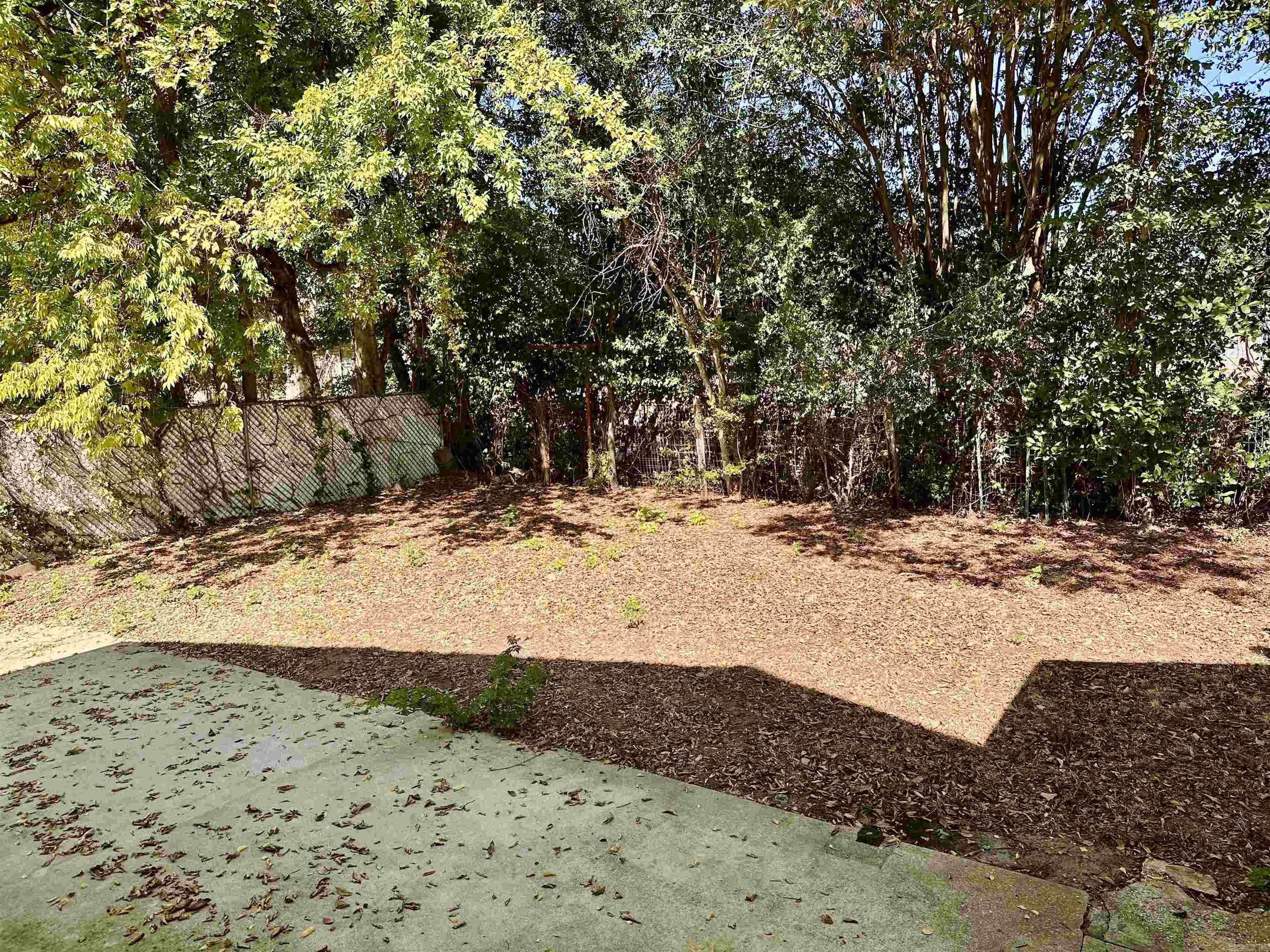 722 W Cedar Street Property Photo 23