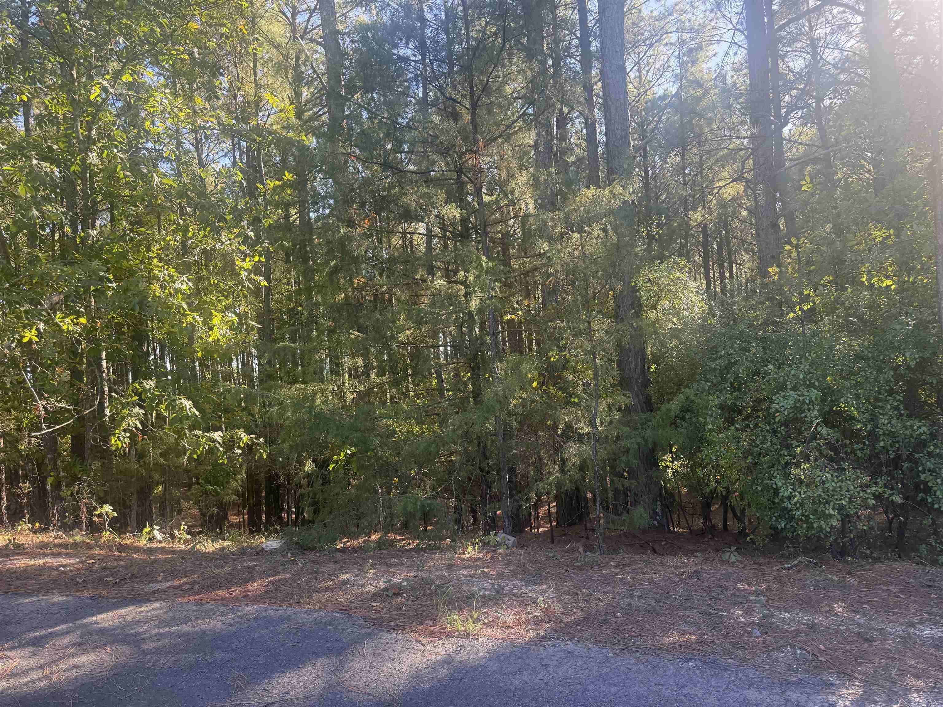 8 Atalaya Trace Property Photo 1