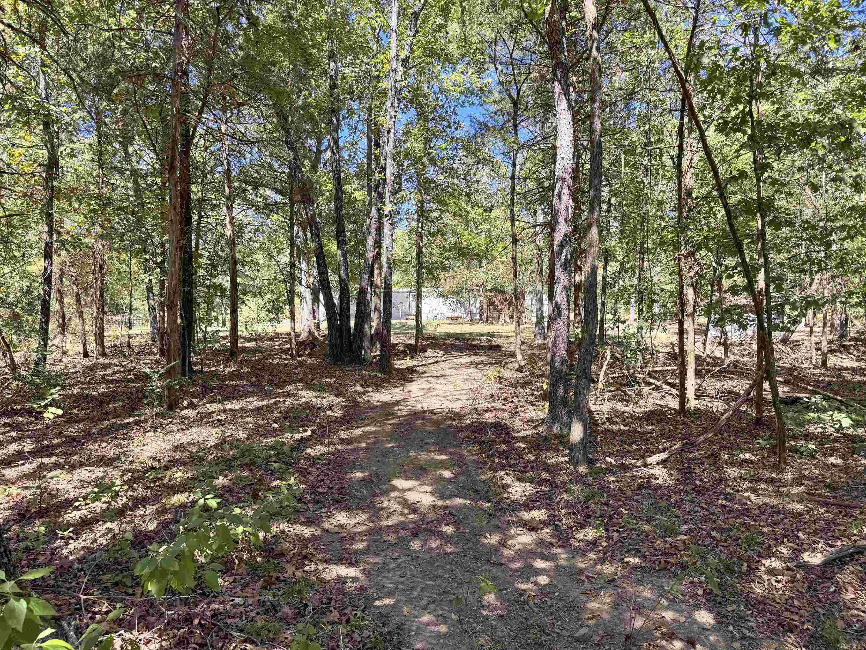 80 Landrum Road Property Photo 9