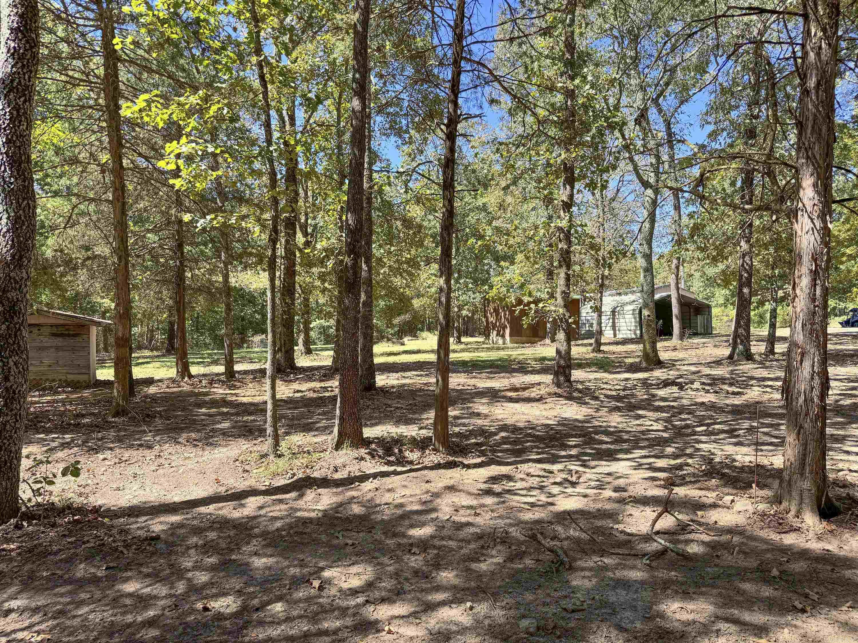 80 Landrum Road Property Photo 10