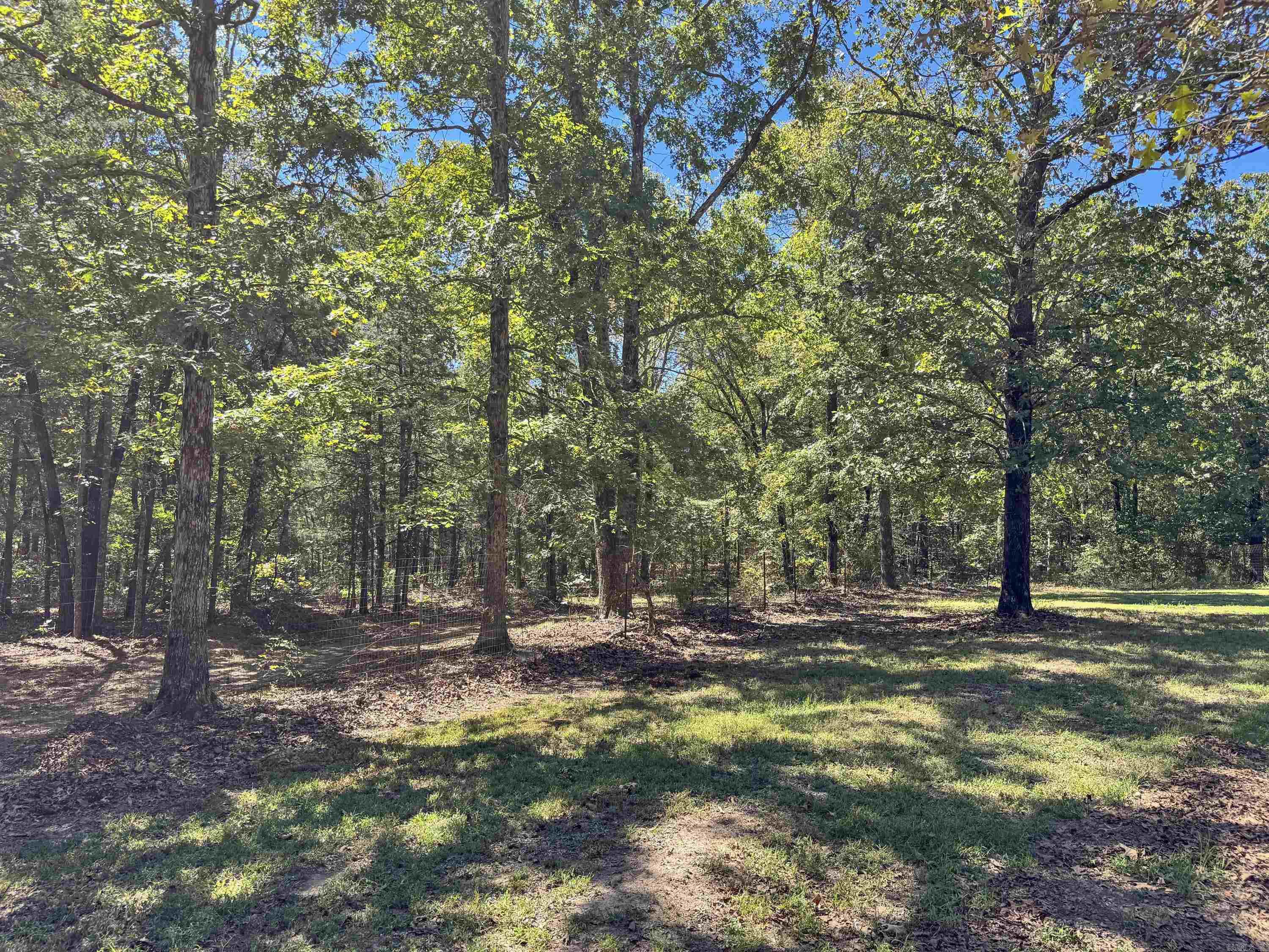 80 Landrum Road Property Photo 23