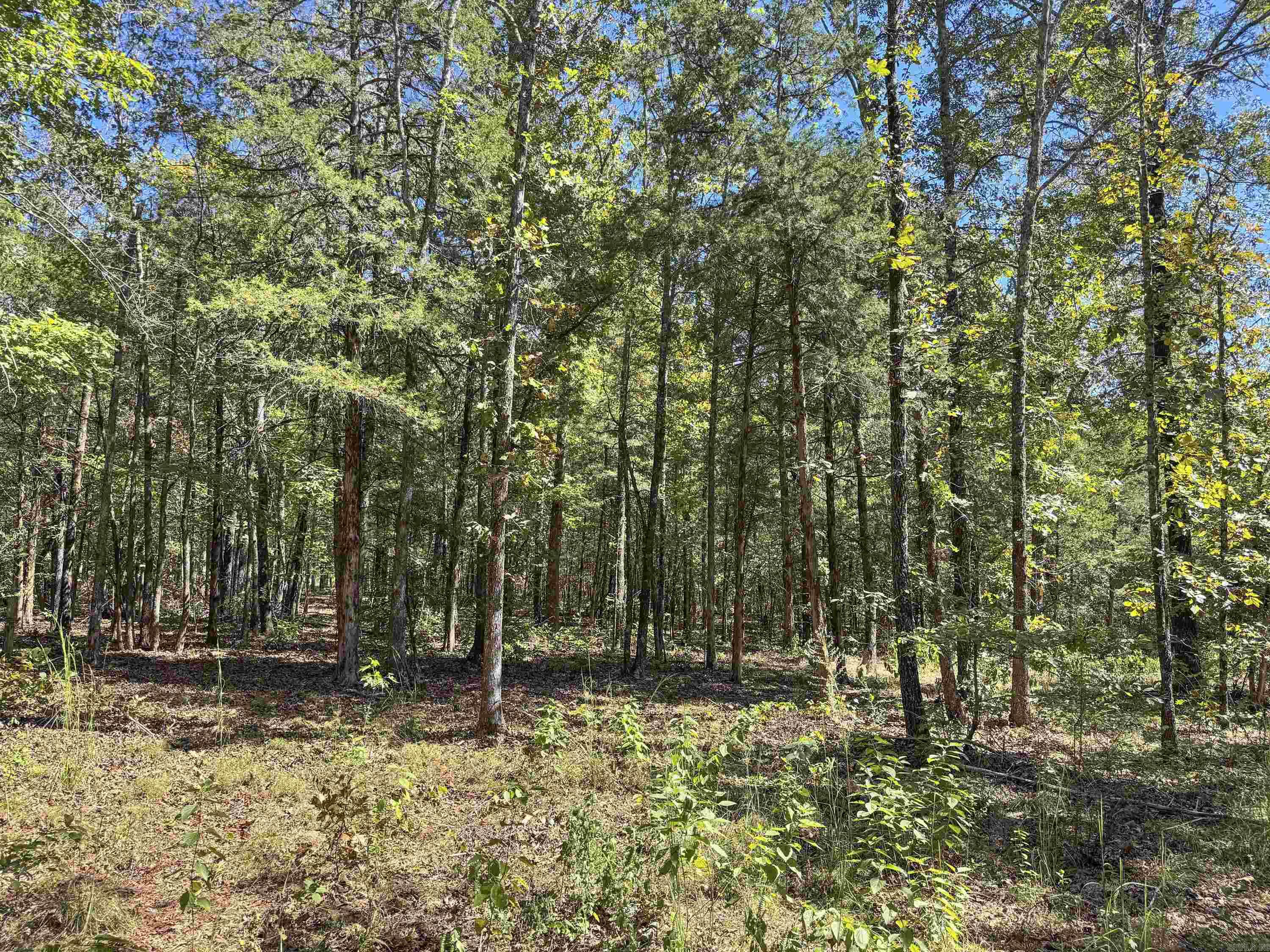 80 Landrum Road Property Photo 25