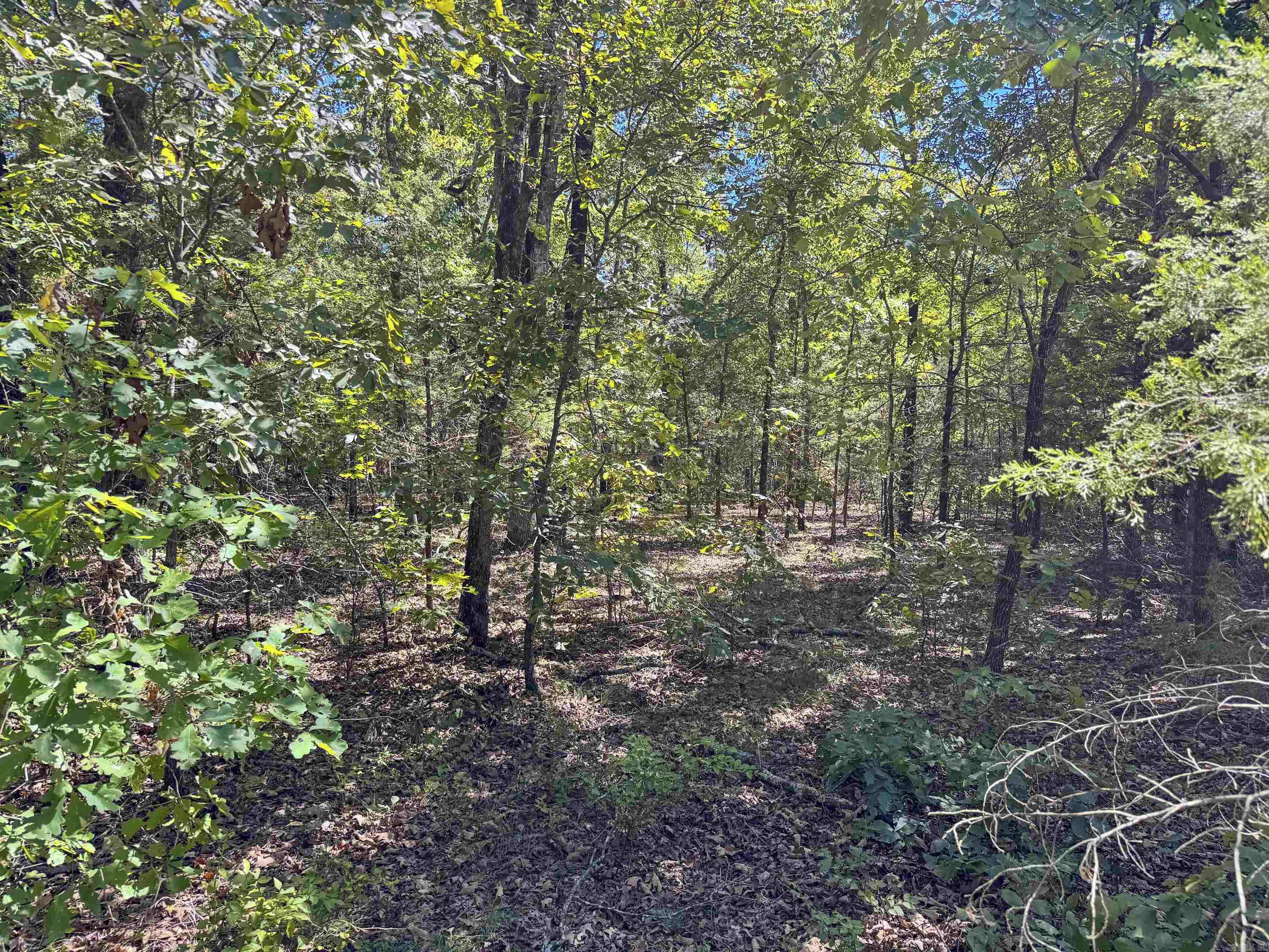 80 Landrum Road Property Photo 29