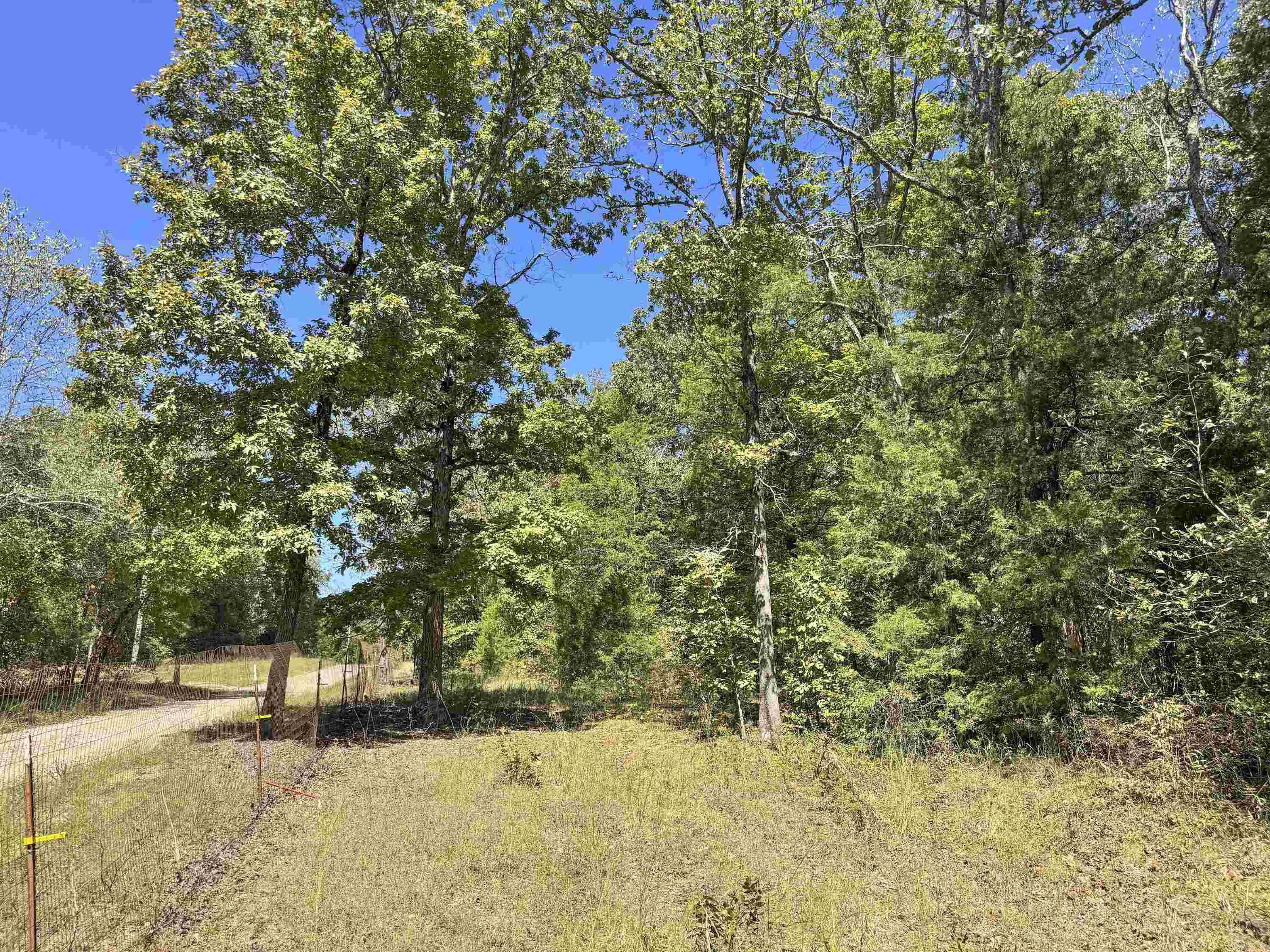 80 Landrum Road Property Photo 30