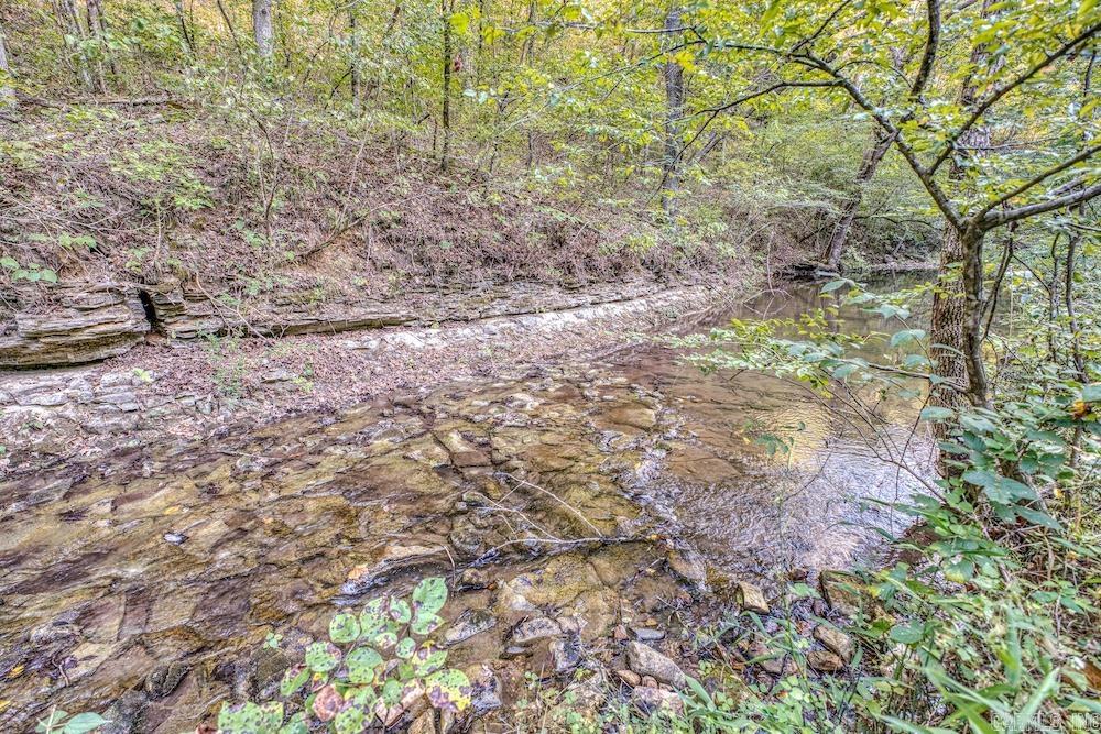 525 Hodge Spring Road Property Photo 11