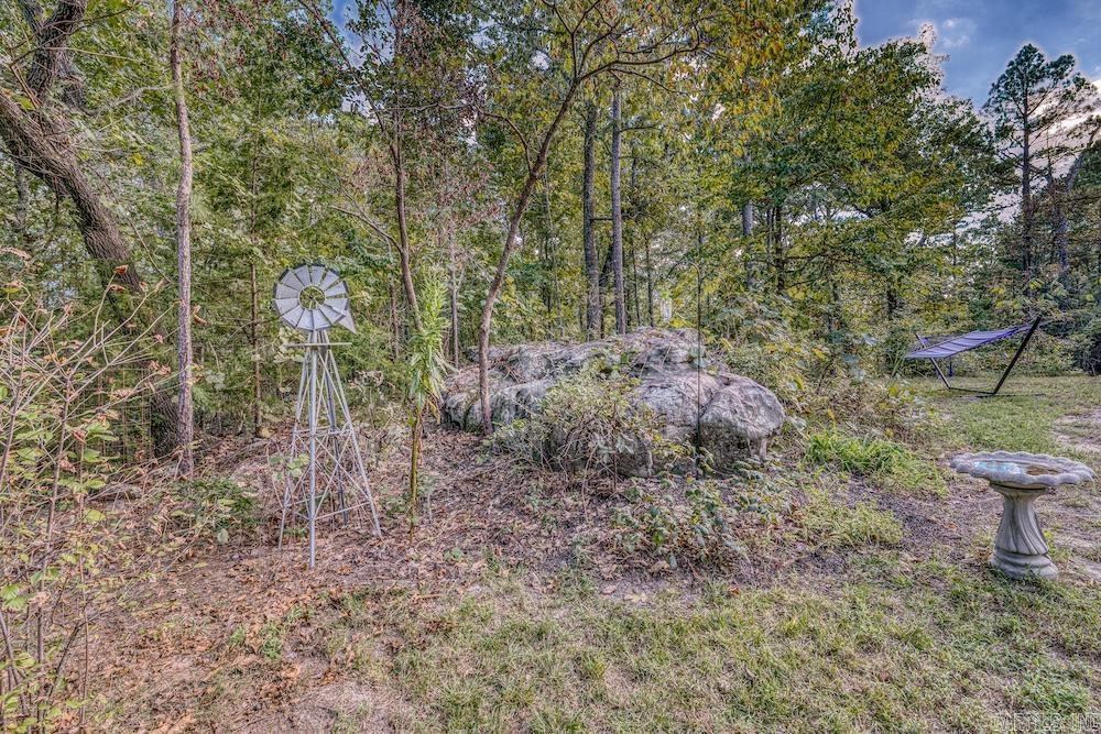 525 Hodge Spring Road Property Photo 14