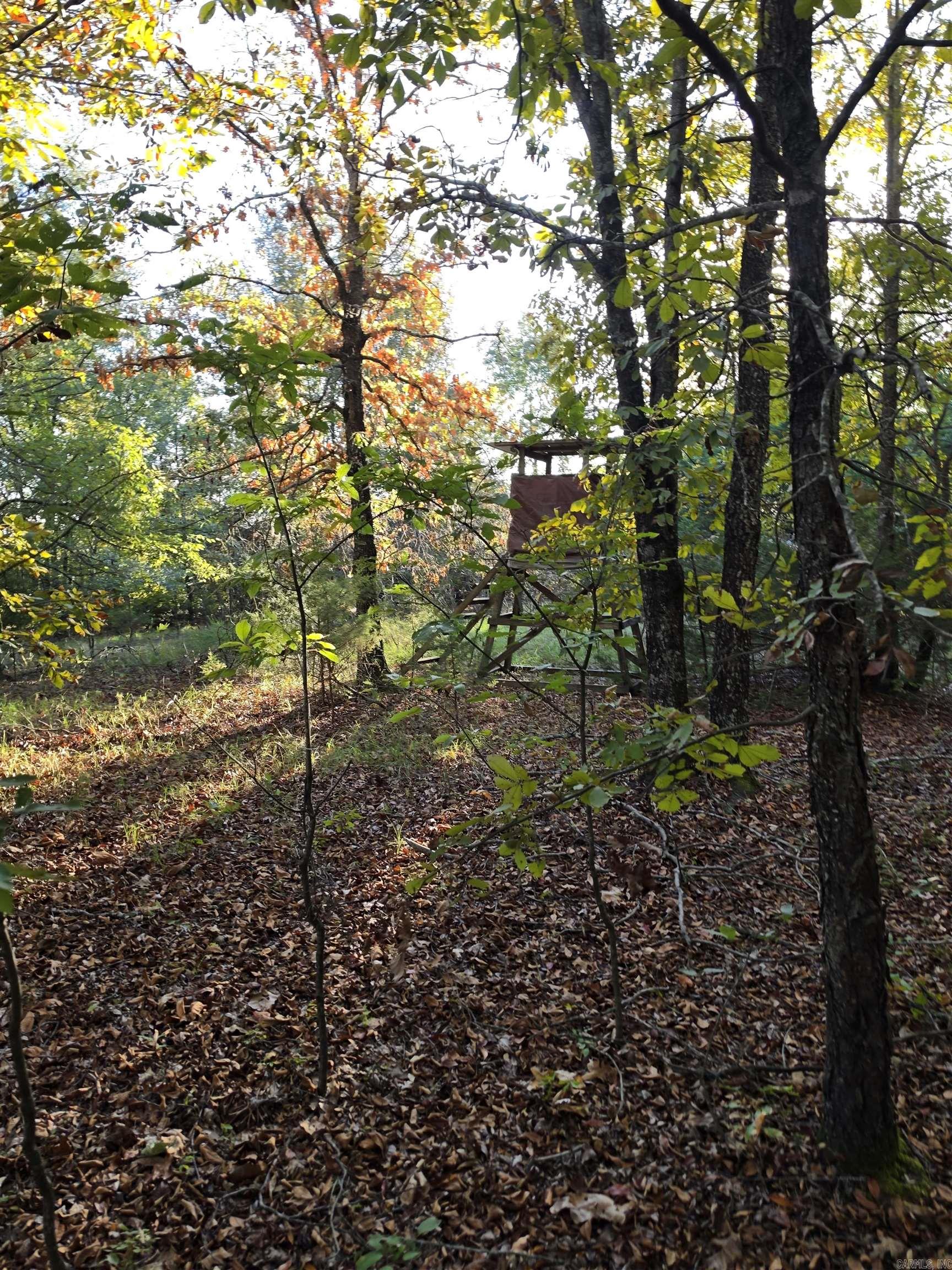 1195 Hwy 5 Property Photo 36