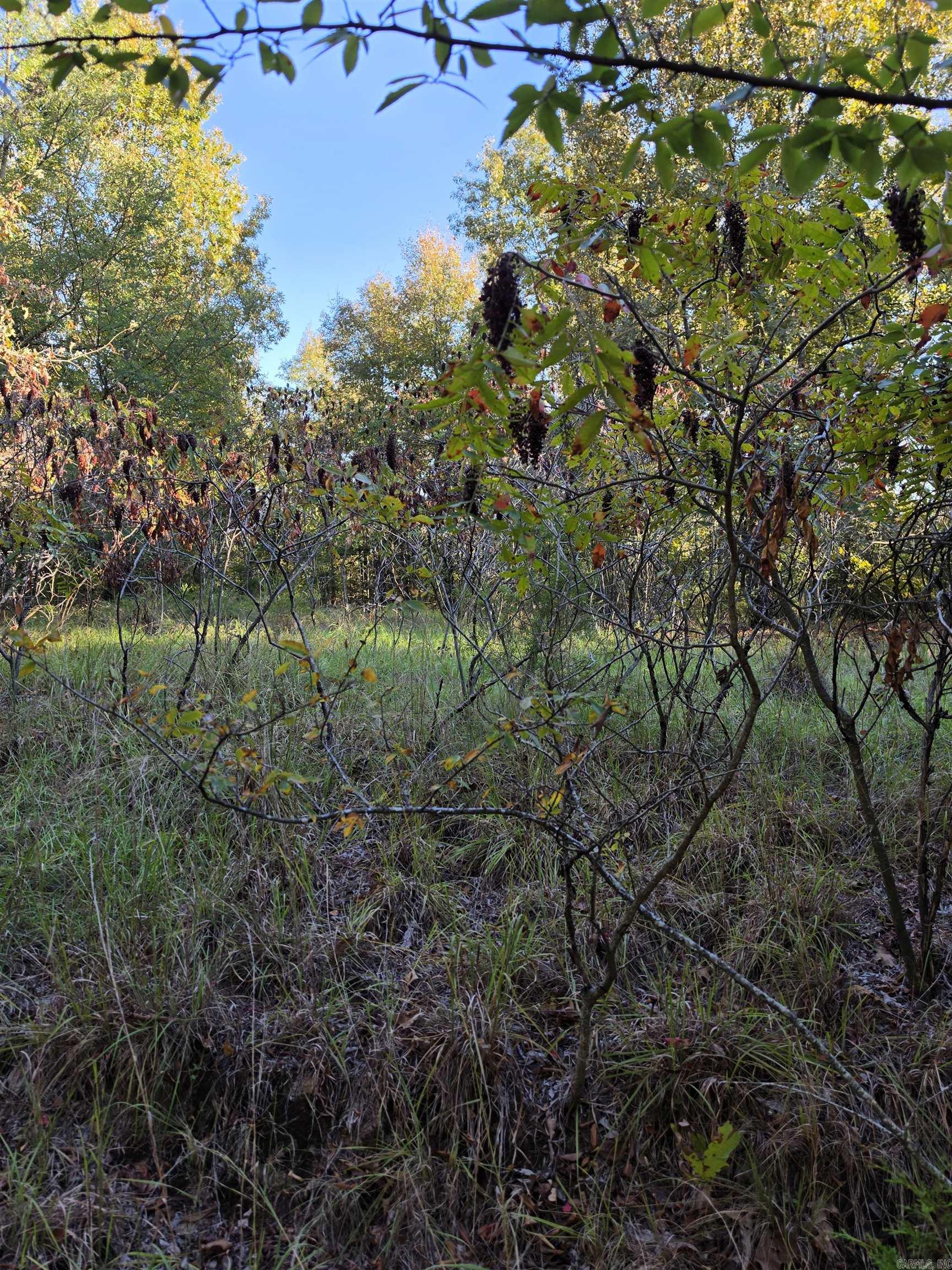 1195 Hwy 5 Property Photo 38