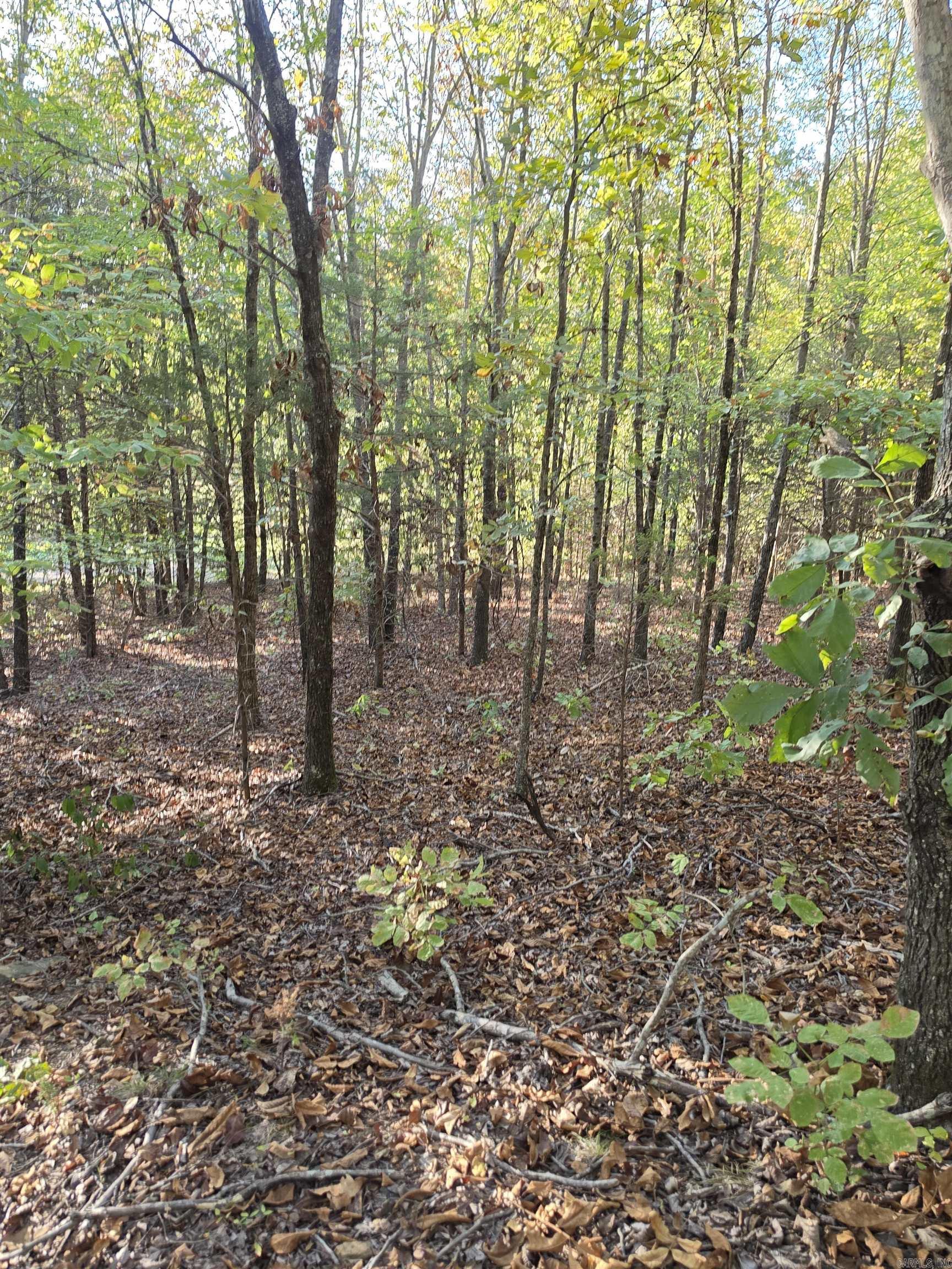 1195 Hwy 5 Property Photo 39