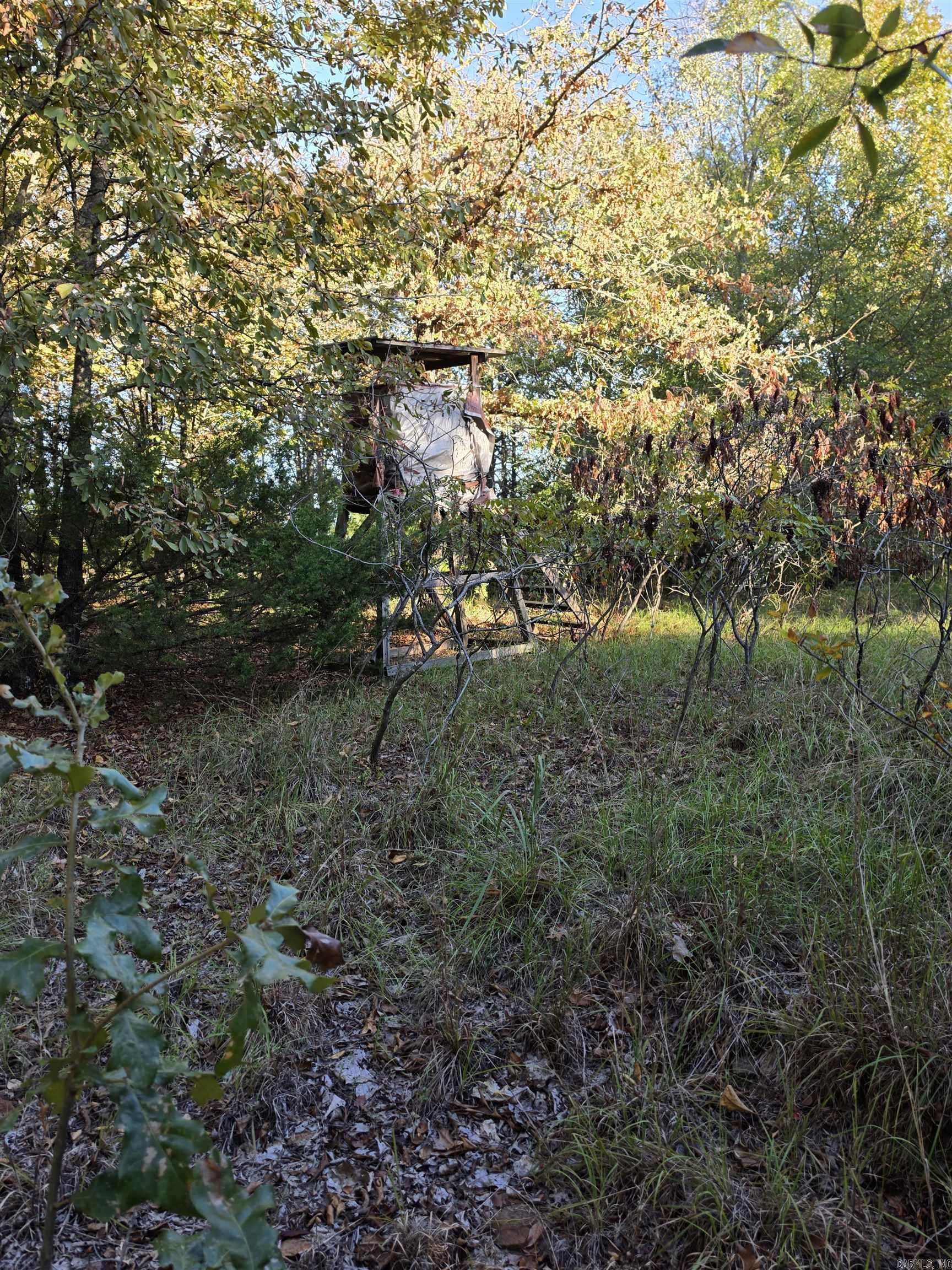 1195 Hwy 5 Property Photo 40