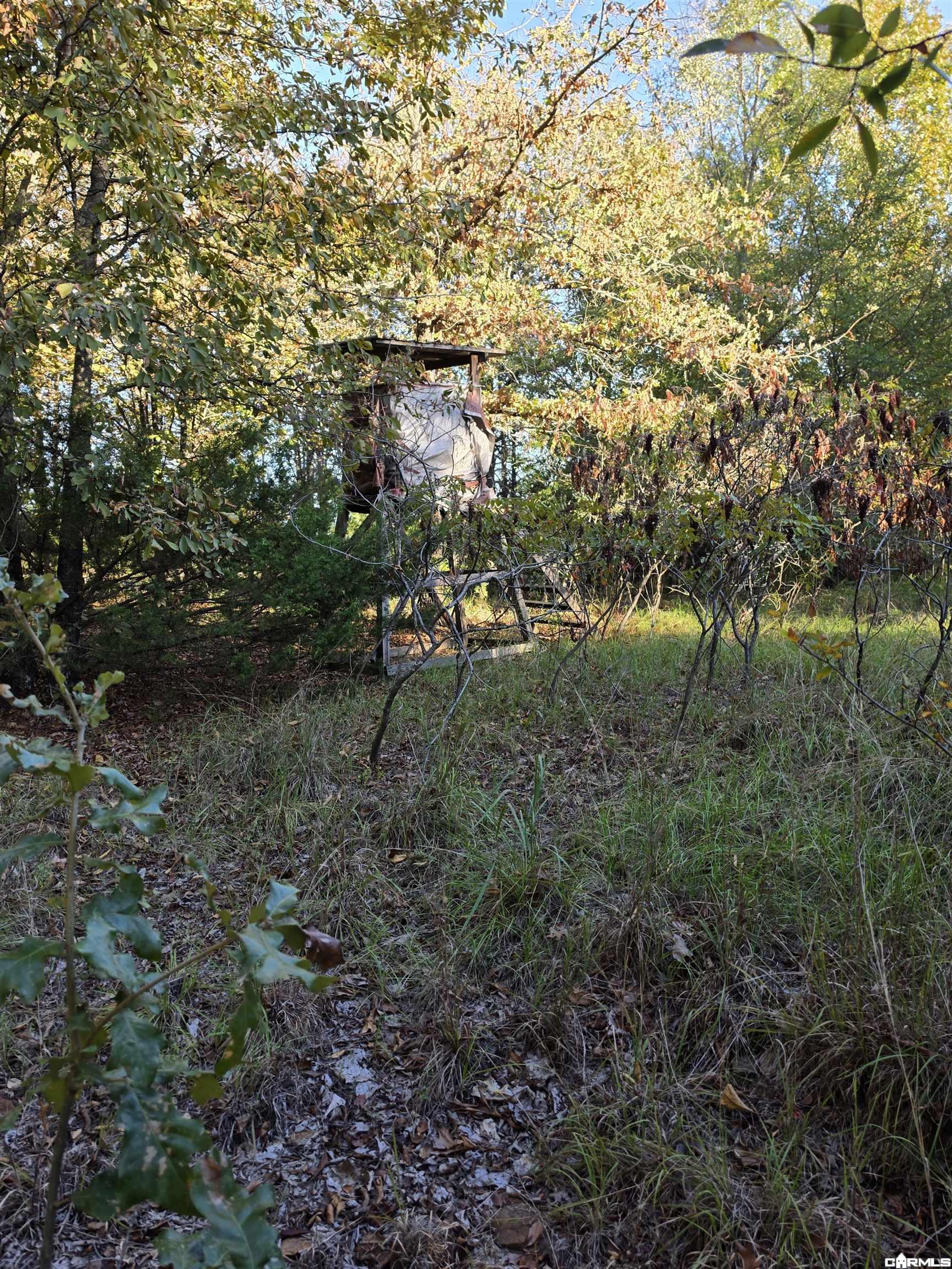 1195 Hwy 5 Property Photo 40