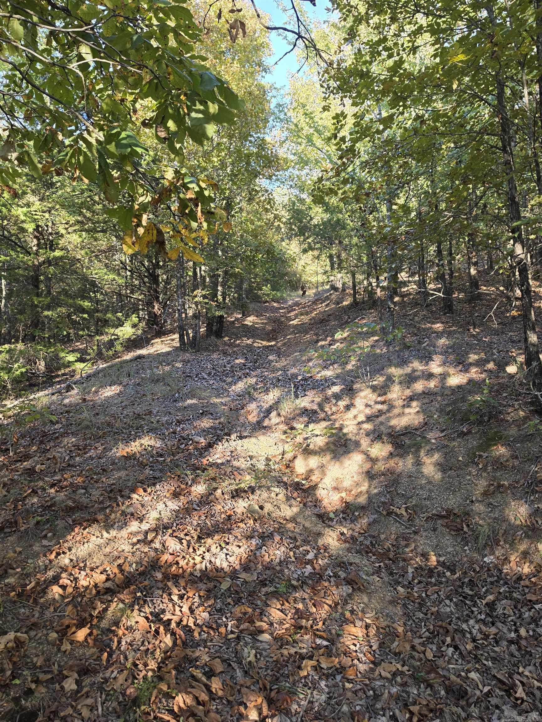 1195 Hwy 5 Property Photo 41