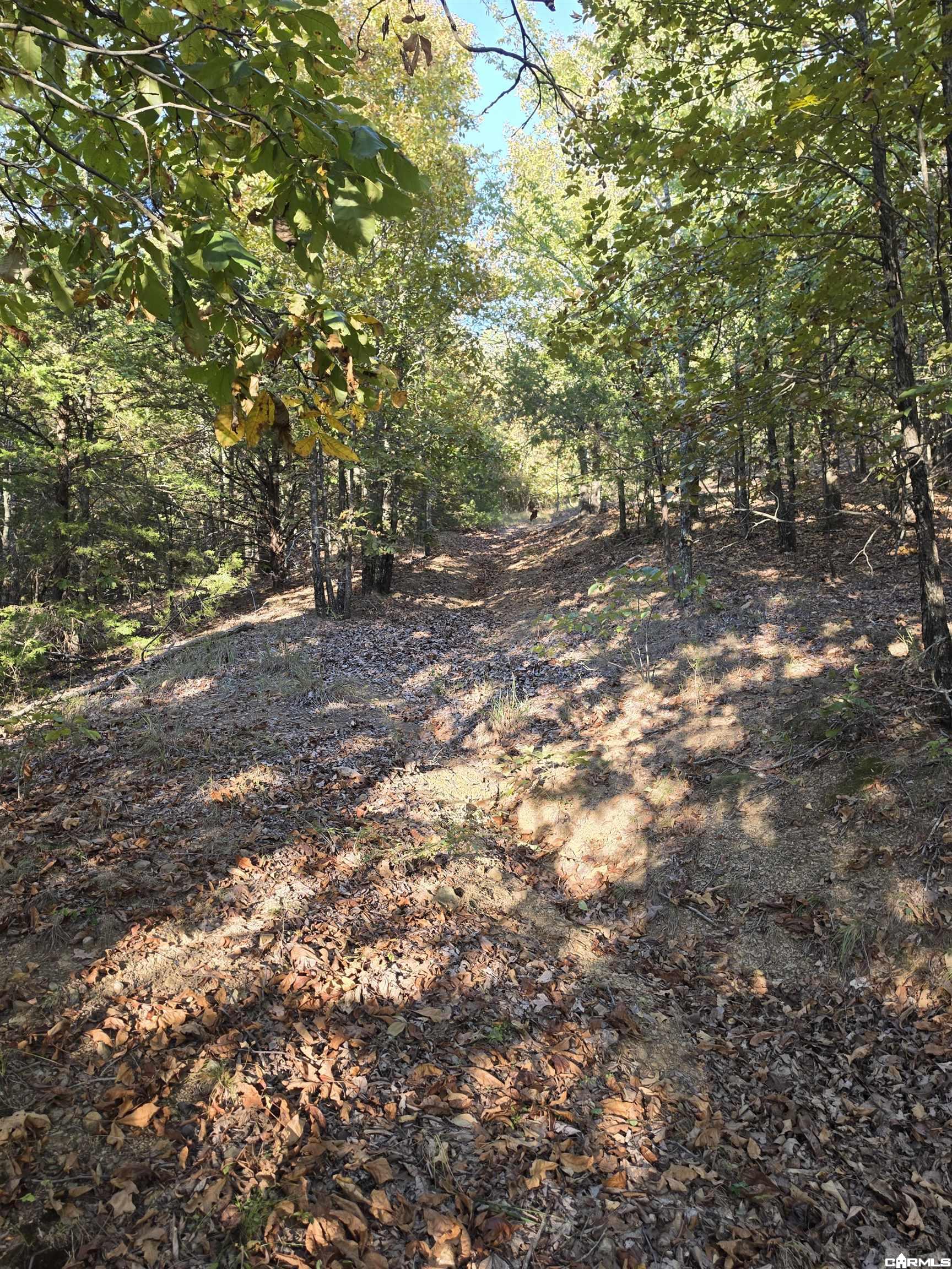 1195 Hwy 5 Property Photo 41