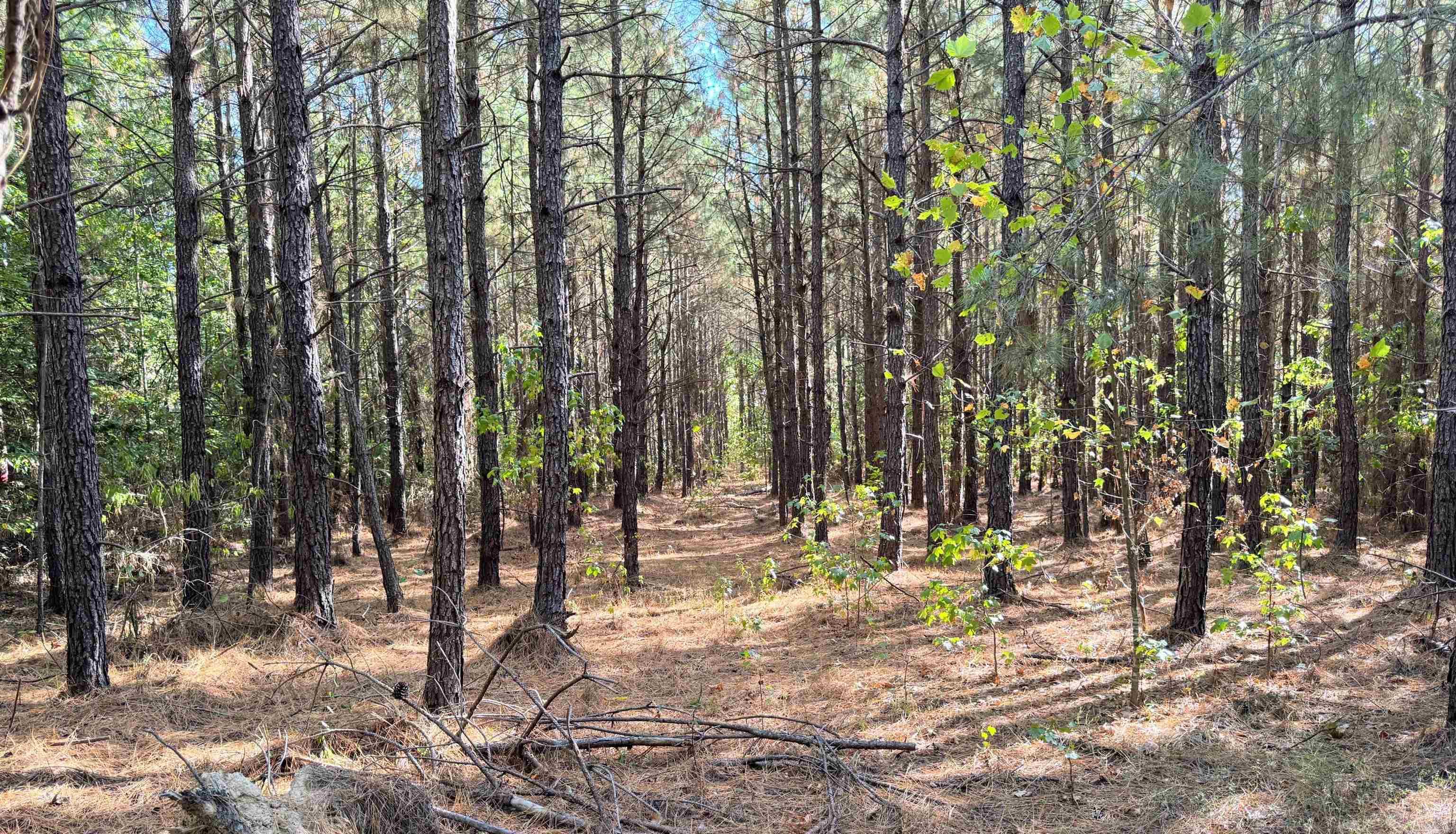 Tbd 38 Acres Dallas 429 Property Photo 3