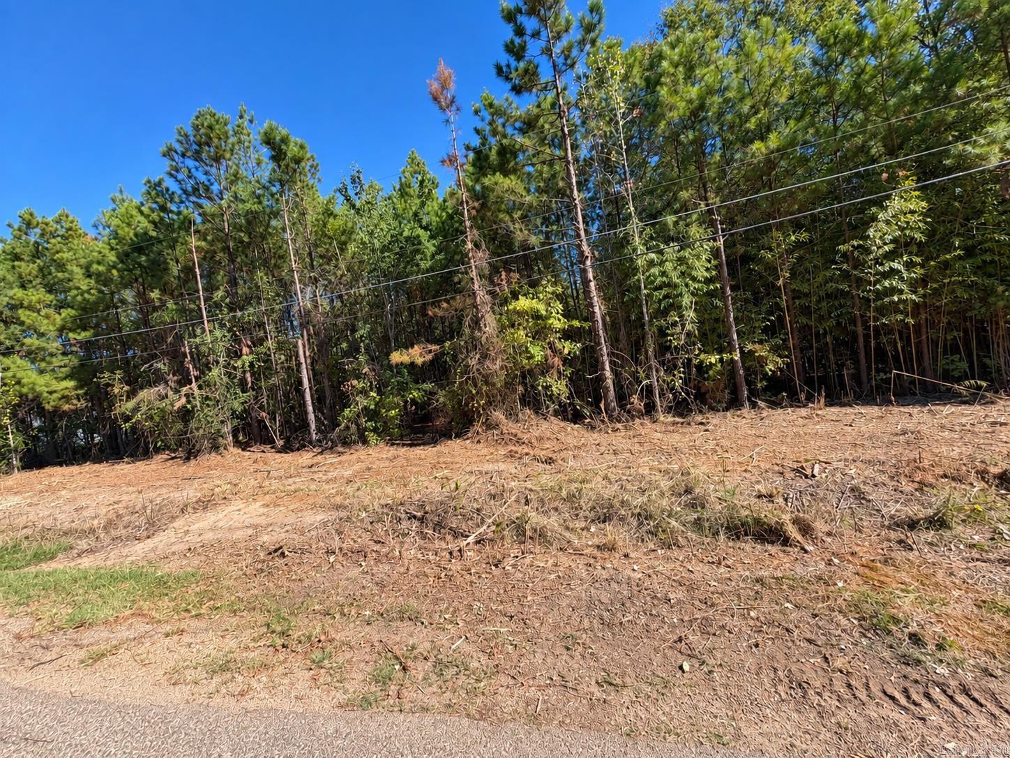 930 Ford Drive Property Photo 3