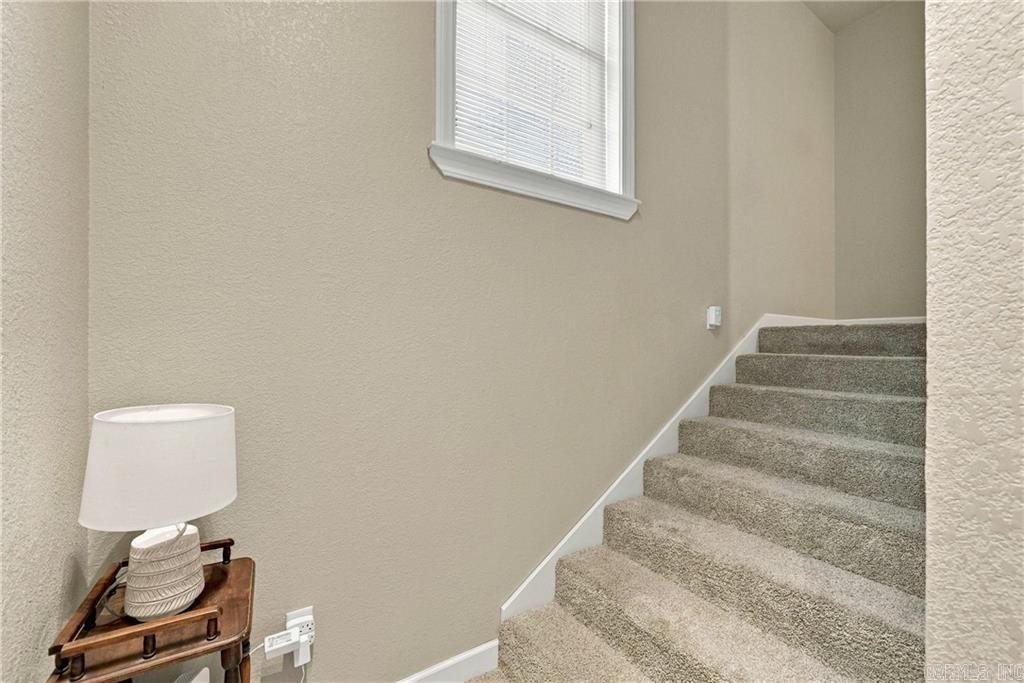 115 Newton Springs Property Photo 35