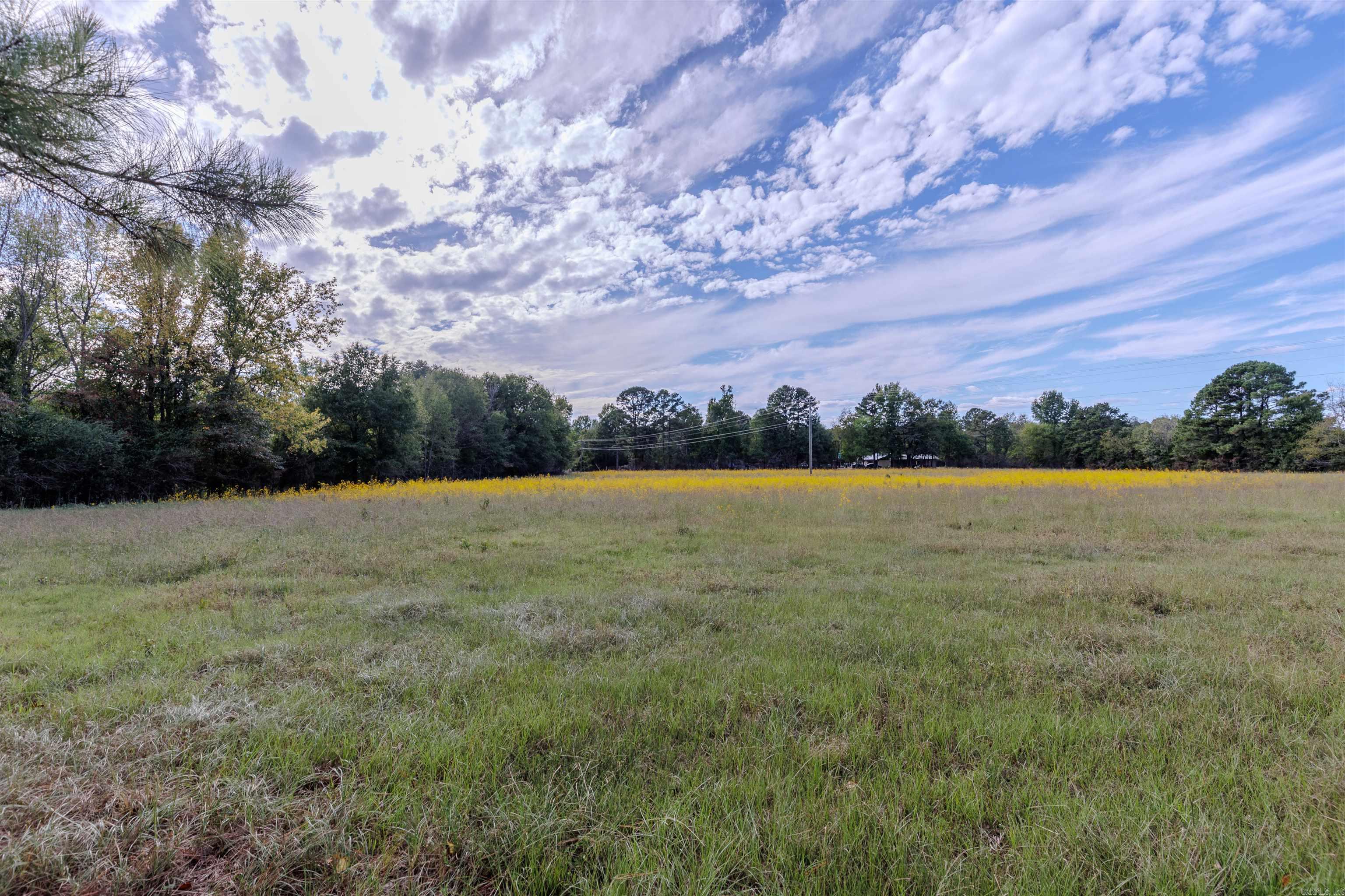 1739 Highway 216 Property Photo 38