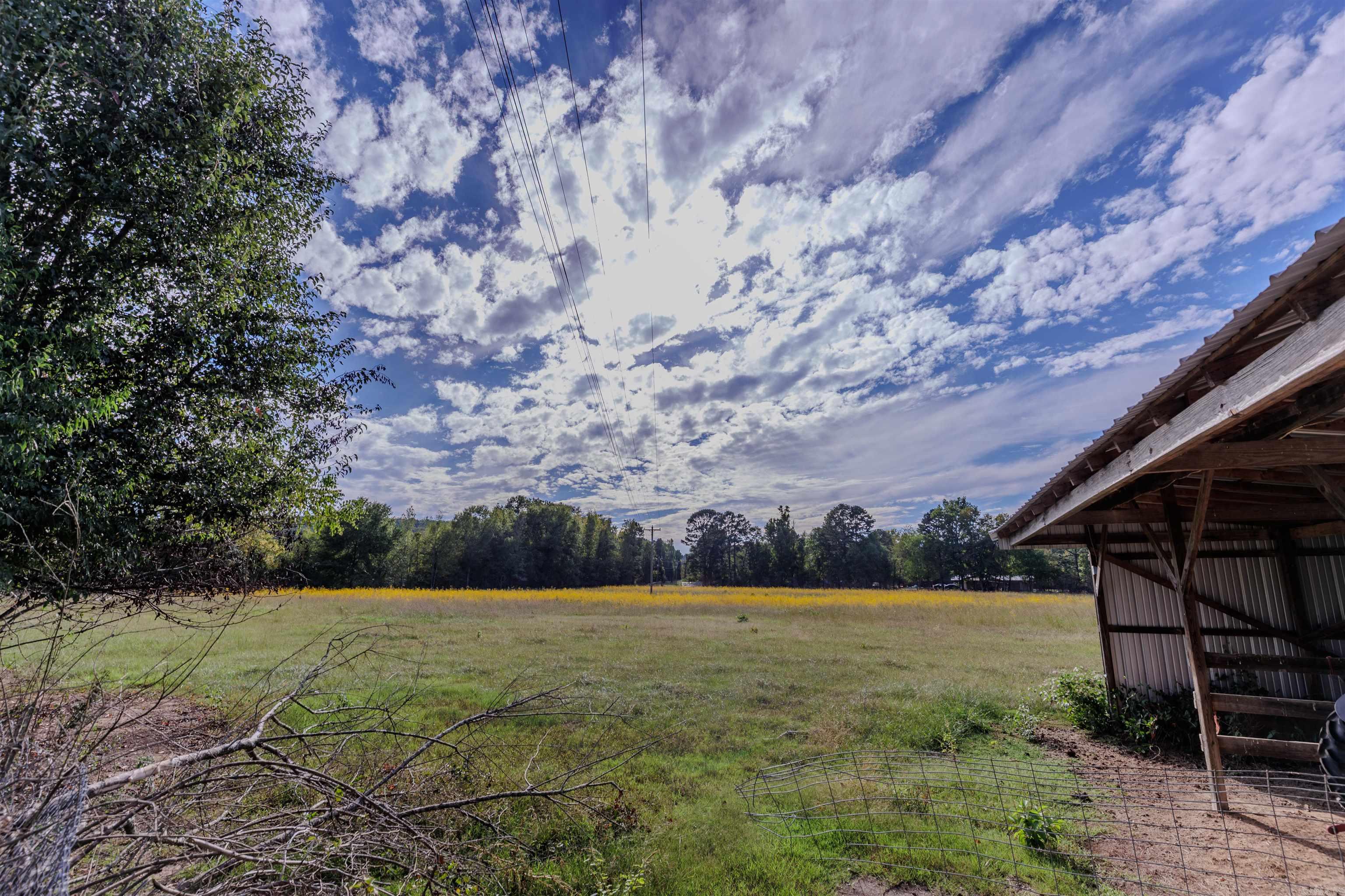 1739 Highway 216 Property Photo 43