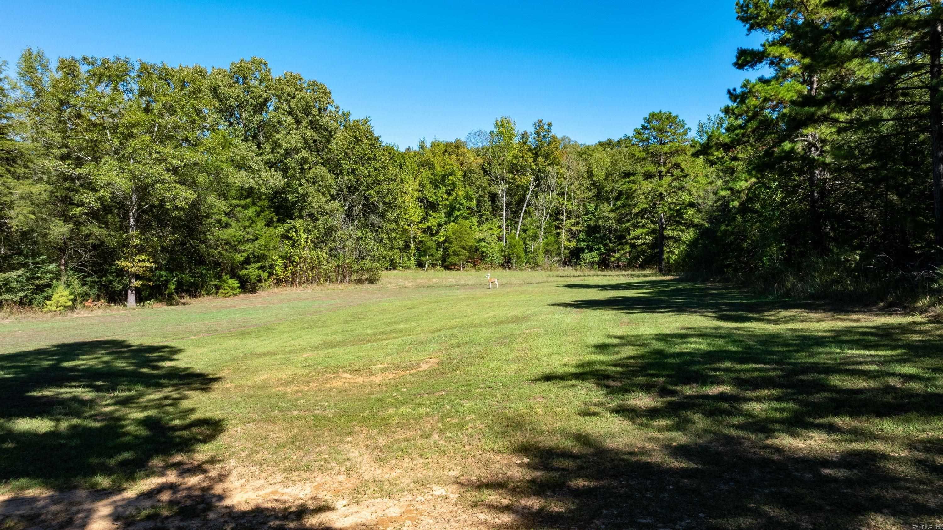 106 W Prosperity Rd Property Photo 32