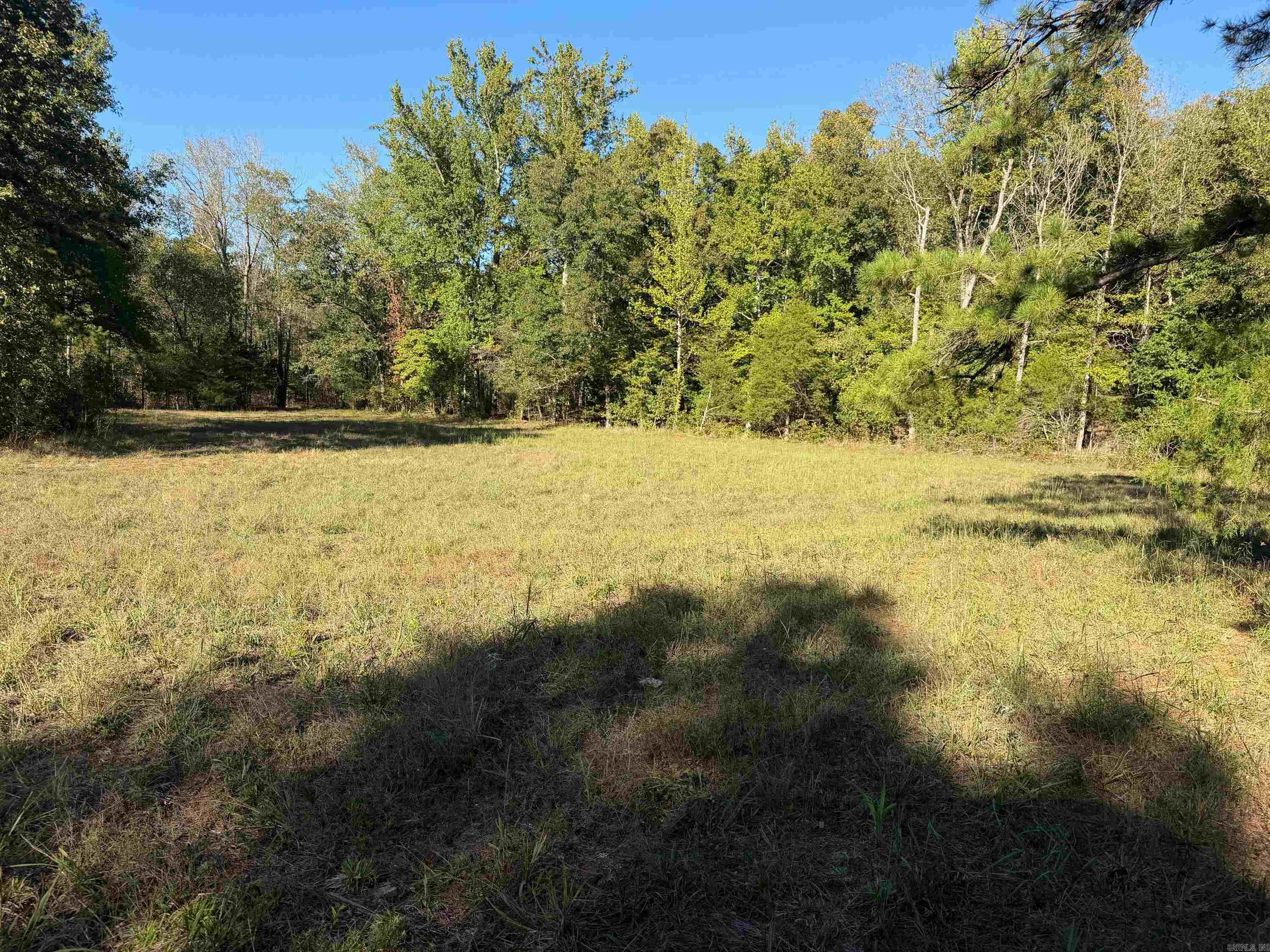 106 W Prosperity Rd Property Photo 34
