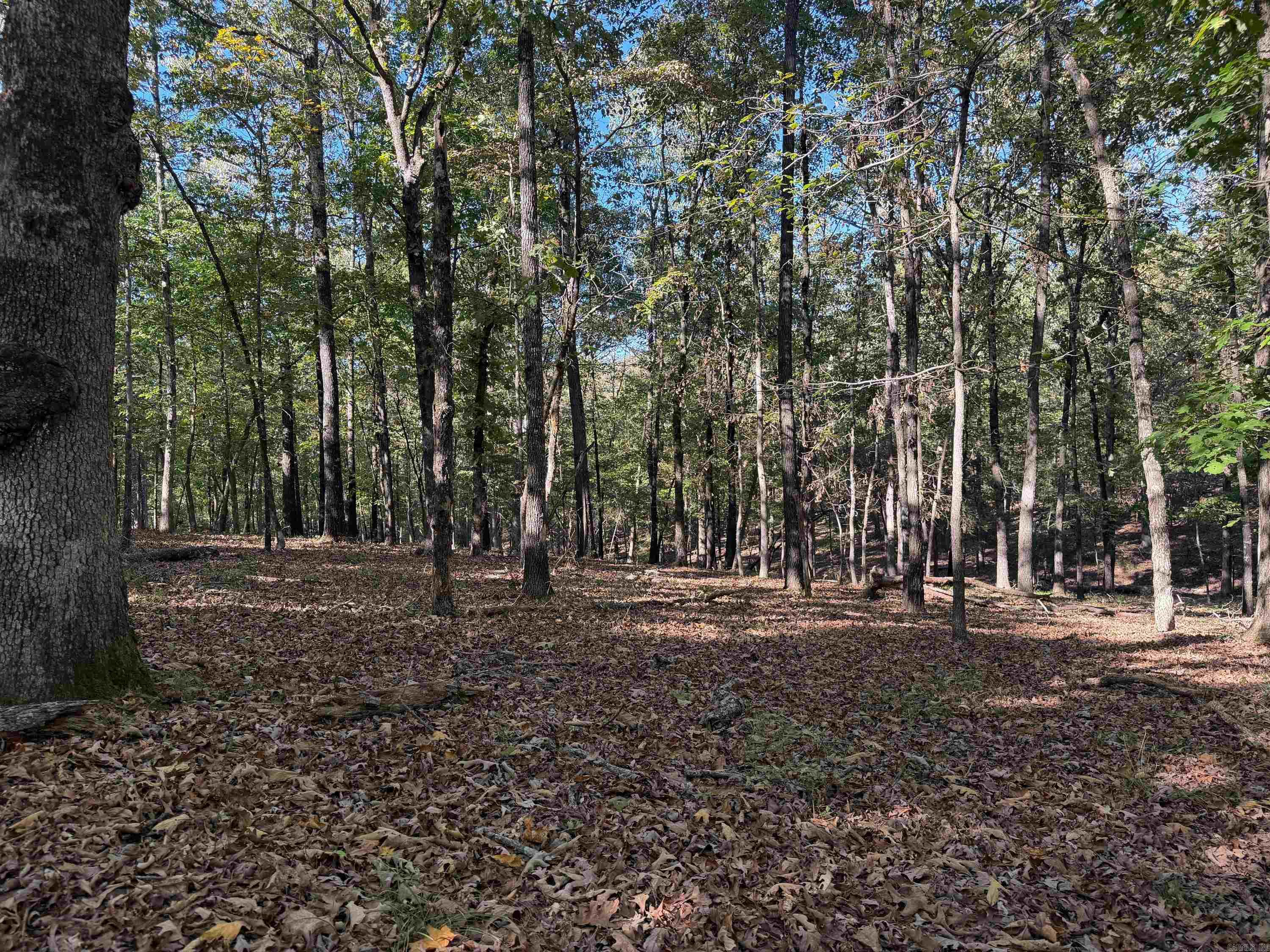 106 W Prosperity Rd Property Photo 36