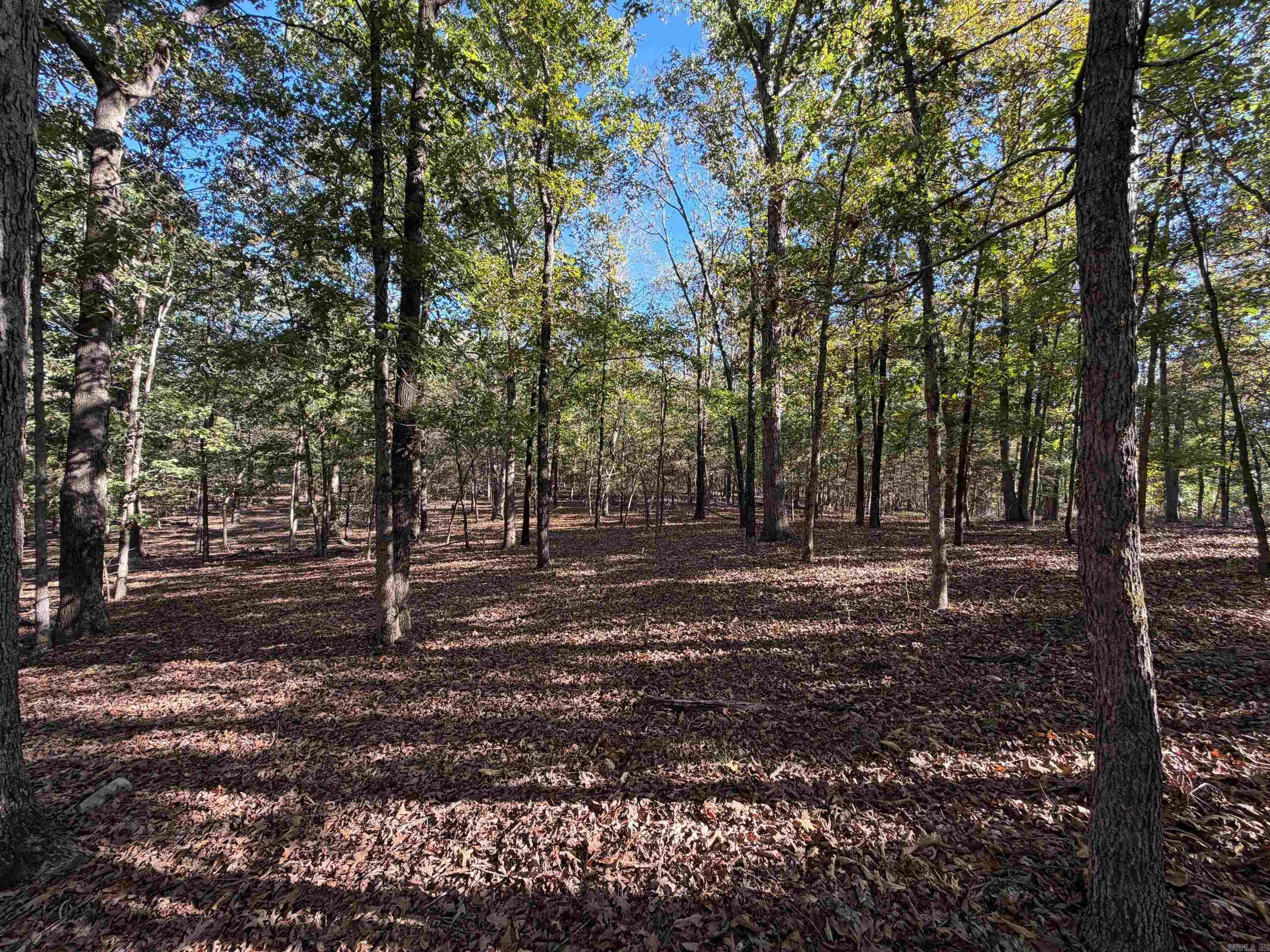106 W Prosperity Rd Property Photo 39