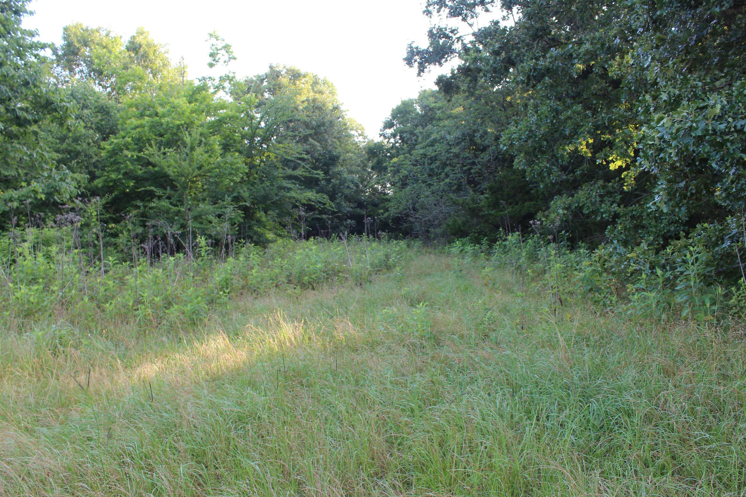 007 197 Property Photo 28