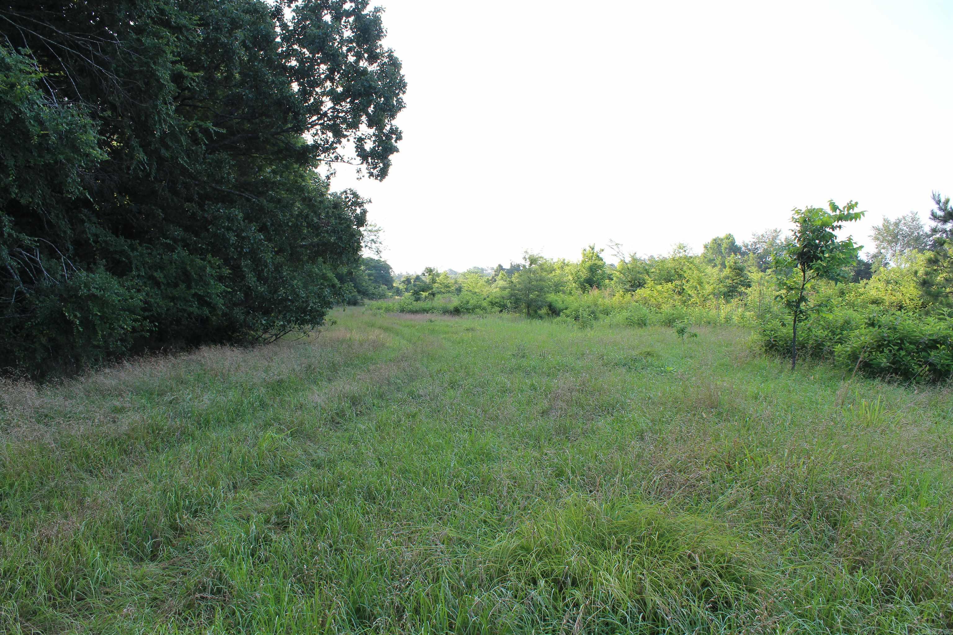 007 197 Property Photo 31