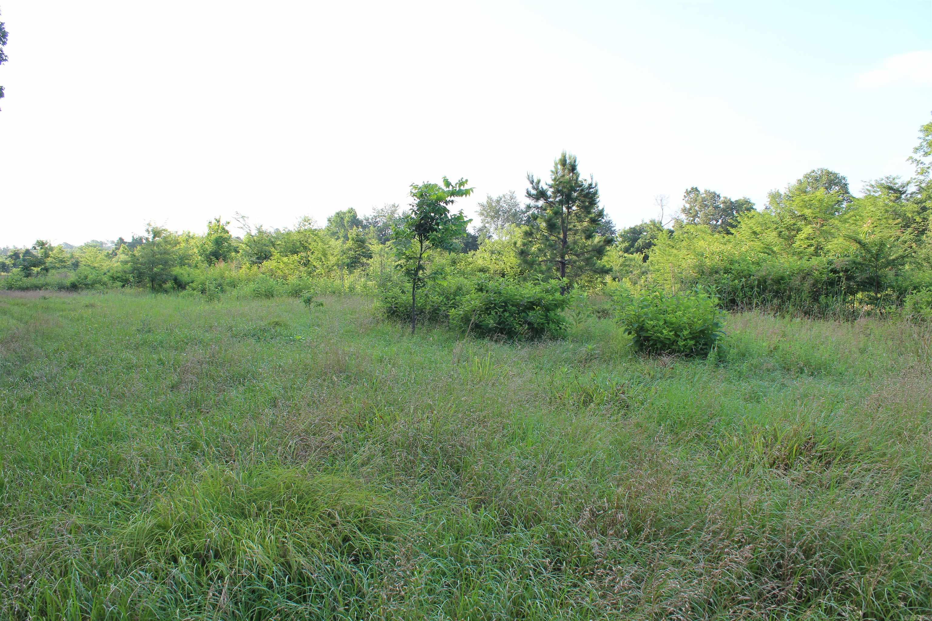 007 197 Property Photo 32