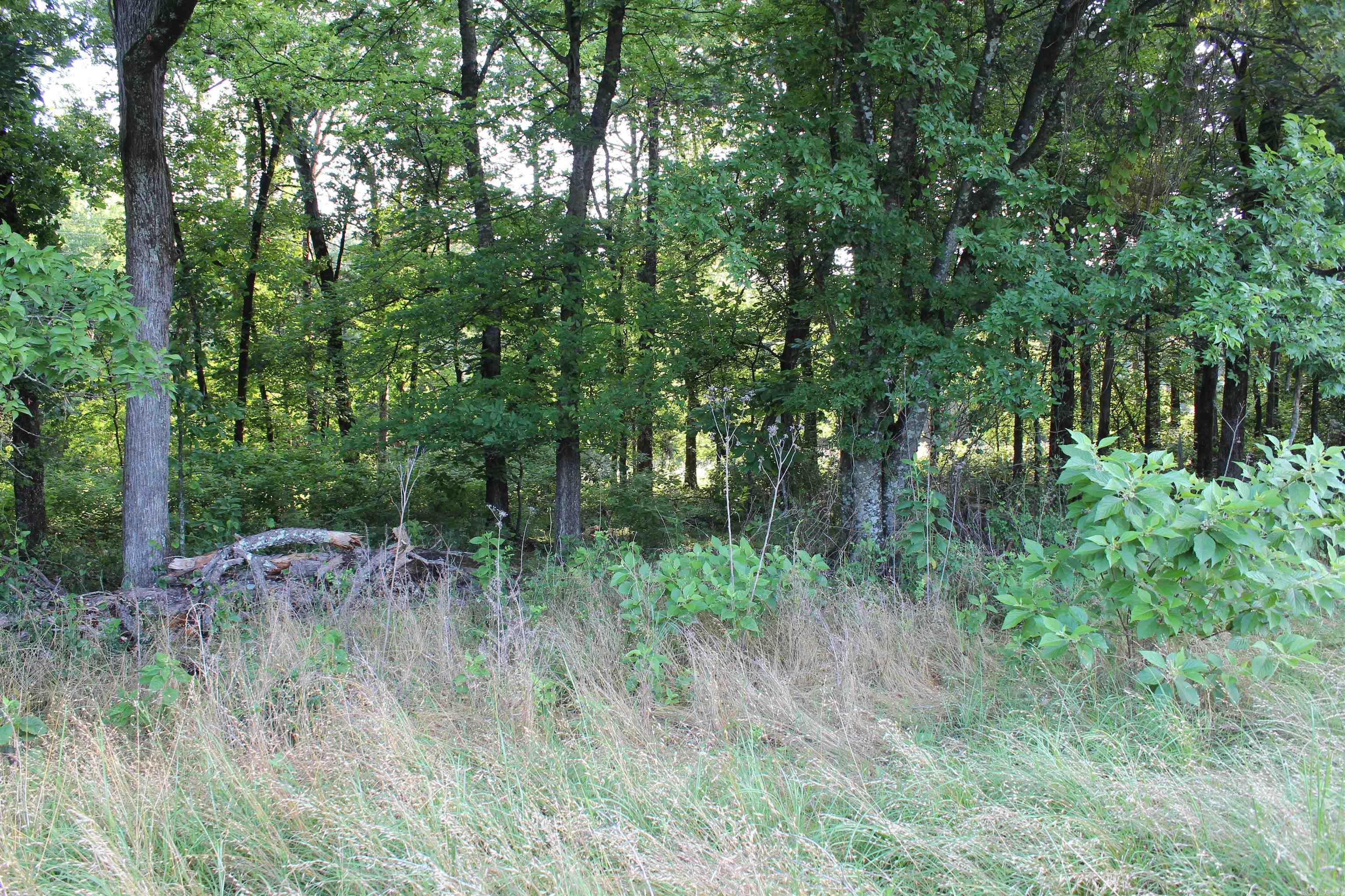007 197 Property Photo 33