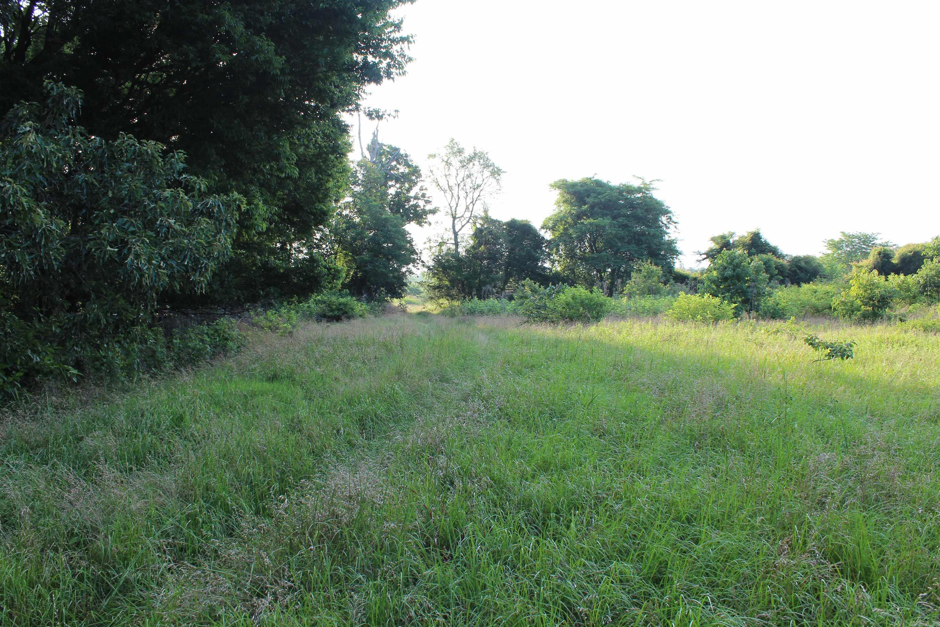 007 197 Property Photo 34